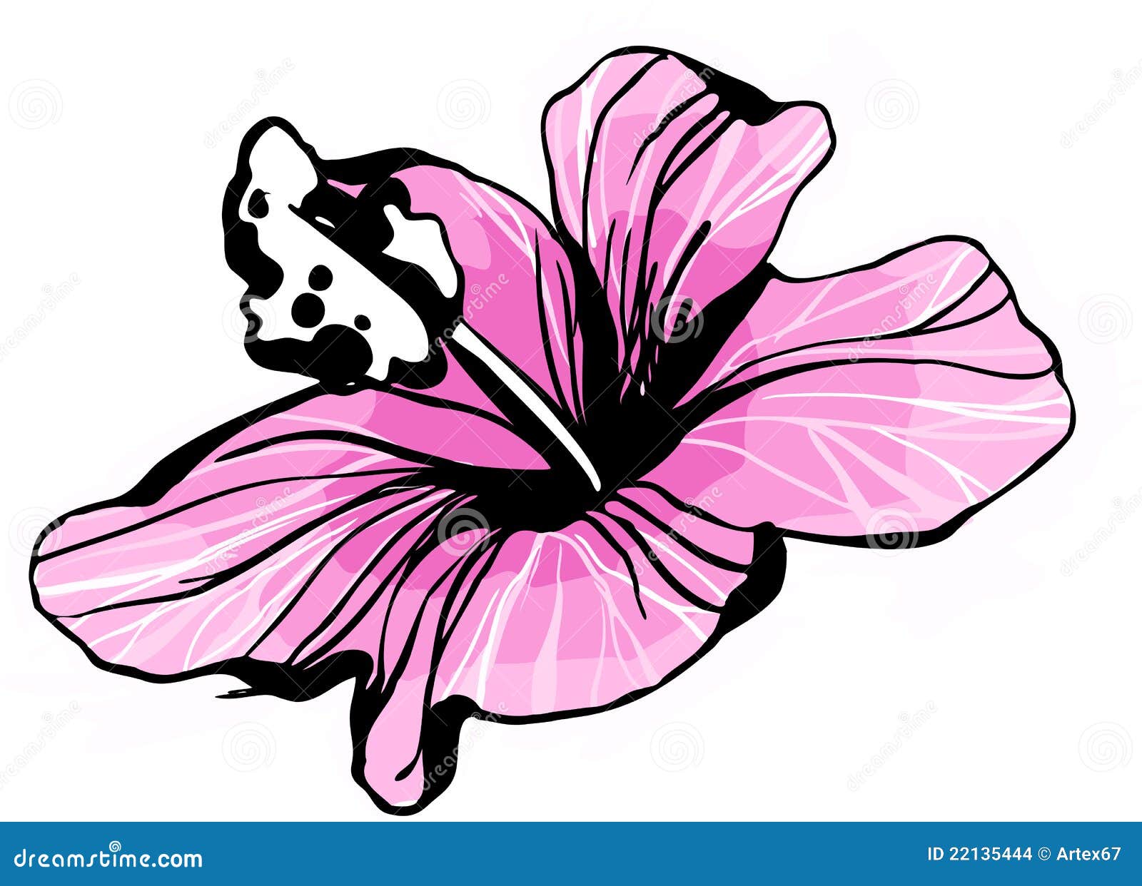 Hibiscus Flower Drawing - 9053 - Dryicons