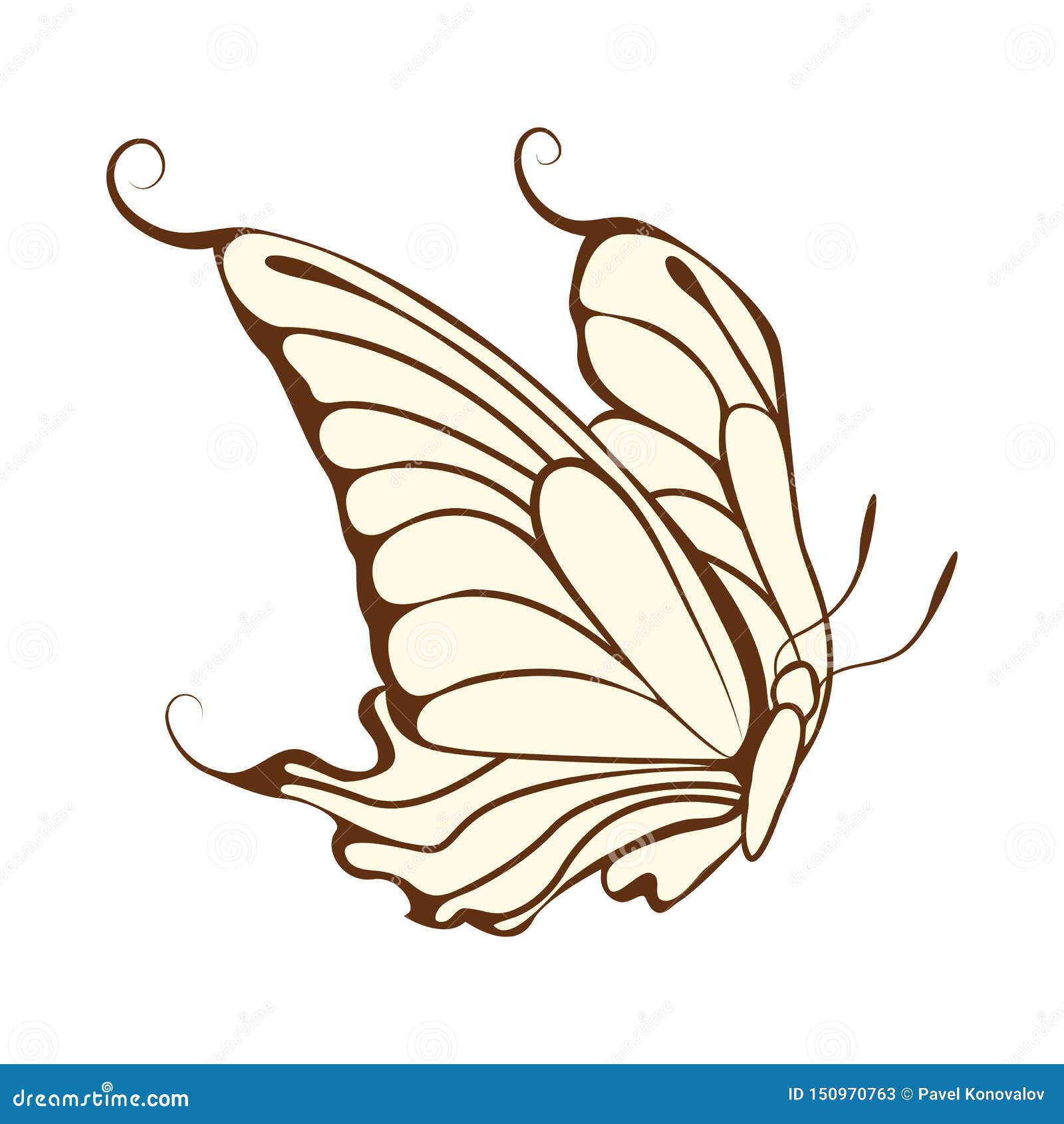 Sketch of Butterfly stock vector. Illustration of black 150970763