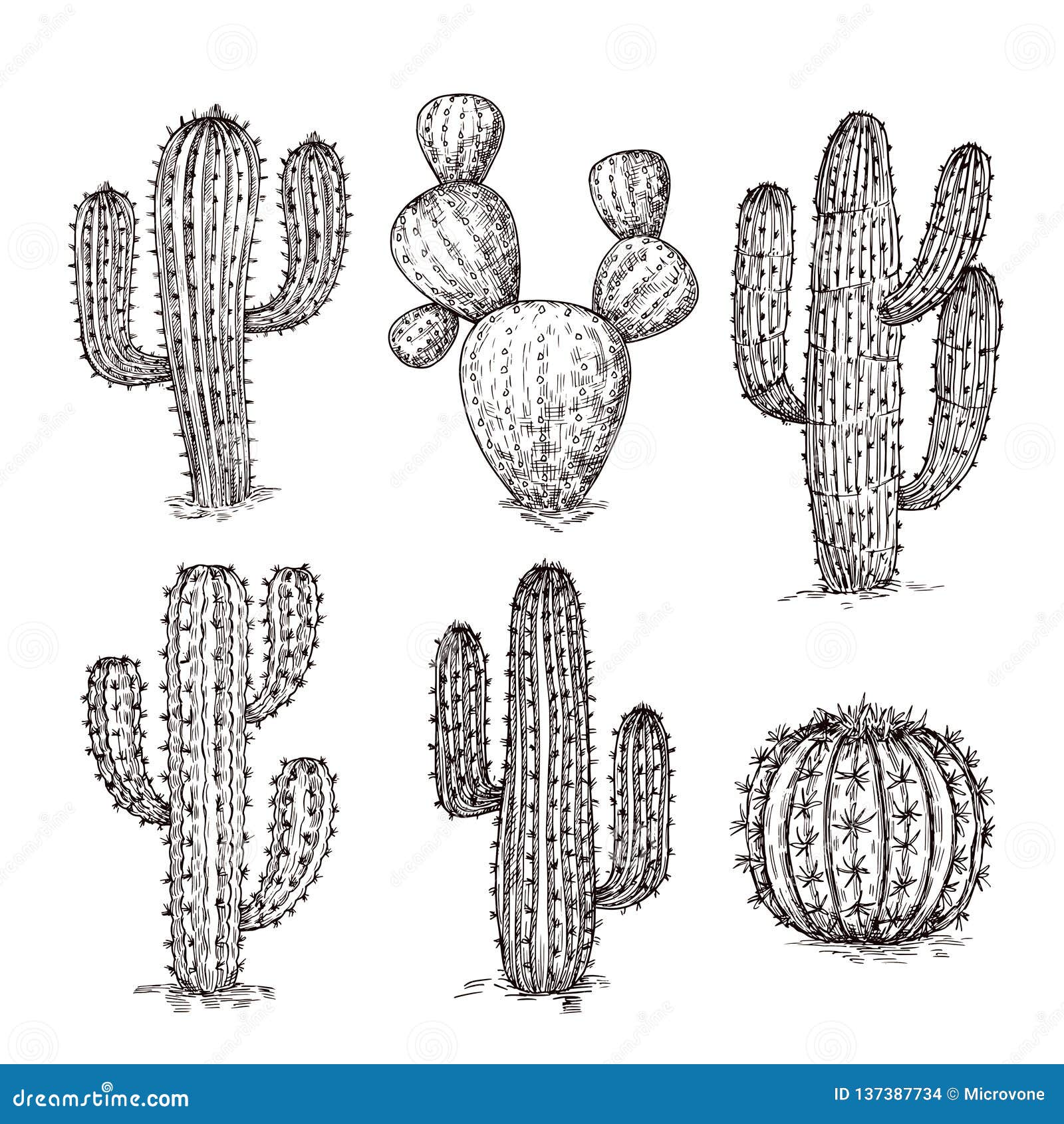 flower pot pencil drawing  Cactus drawing, Nature art drawings, Art  drawings sketches simple