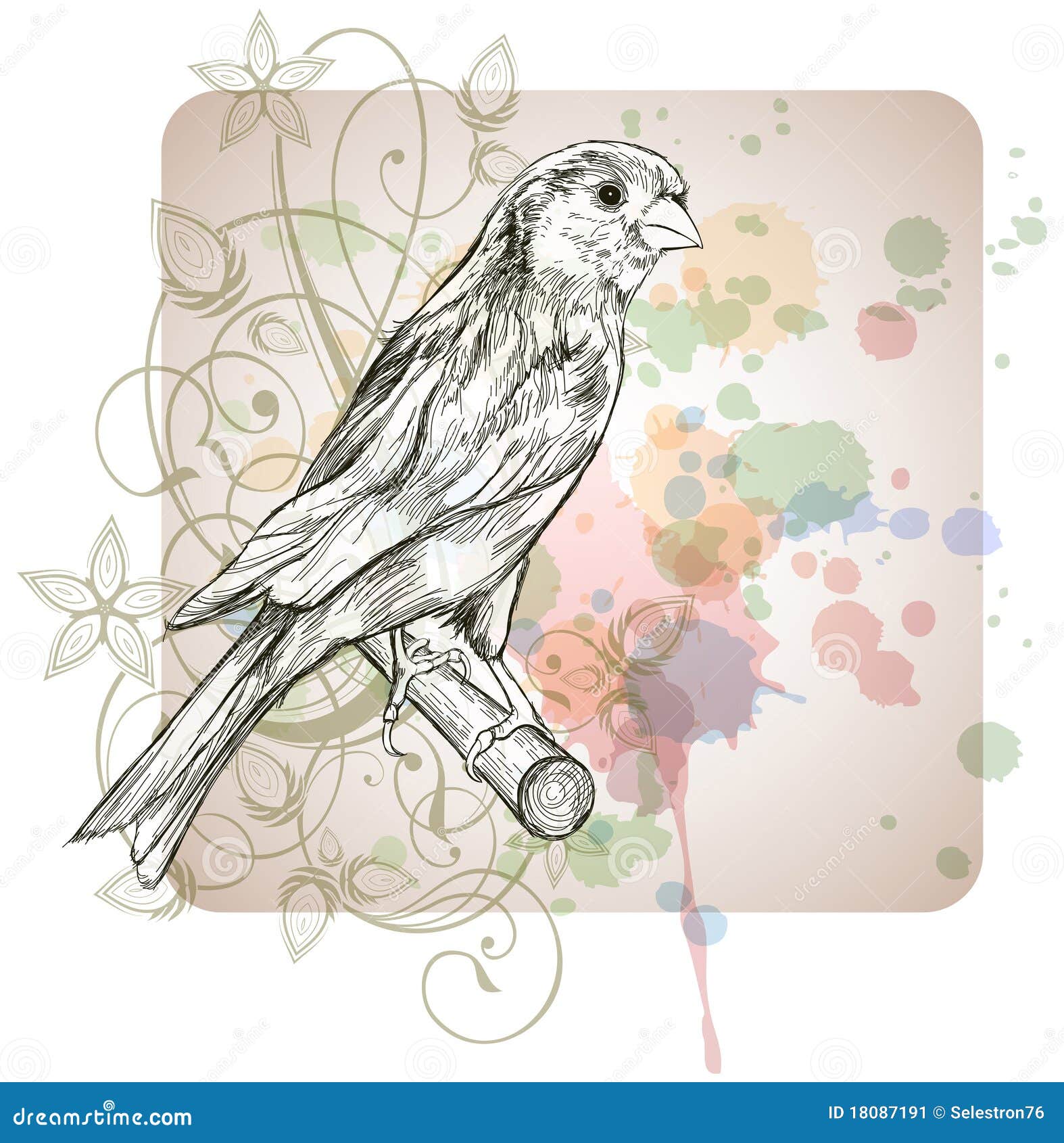 60 Drawing Of Wild Canary Bird Illustrations RoyaltyFree Vector Graphics   Clip Art  iStock