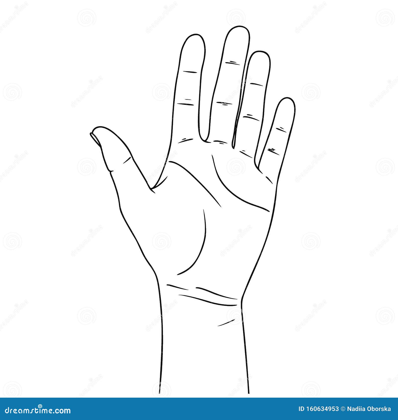 Sketch Of Counting Hand Stock Illustration - Download Image Now - Adult,  Adults Only, Business - iStock
