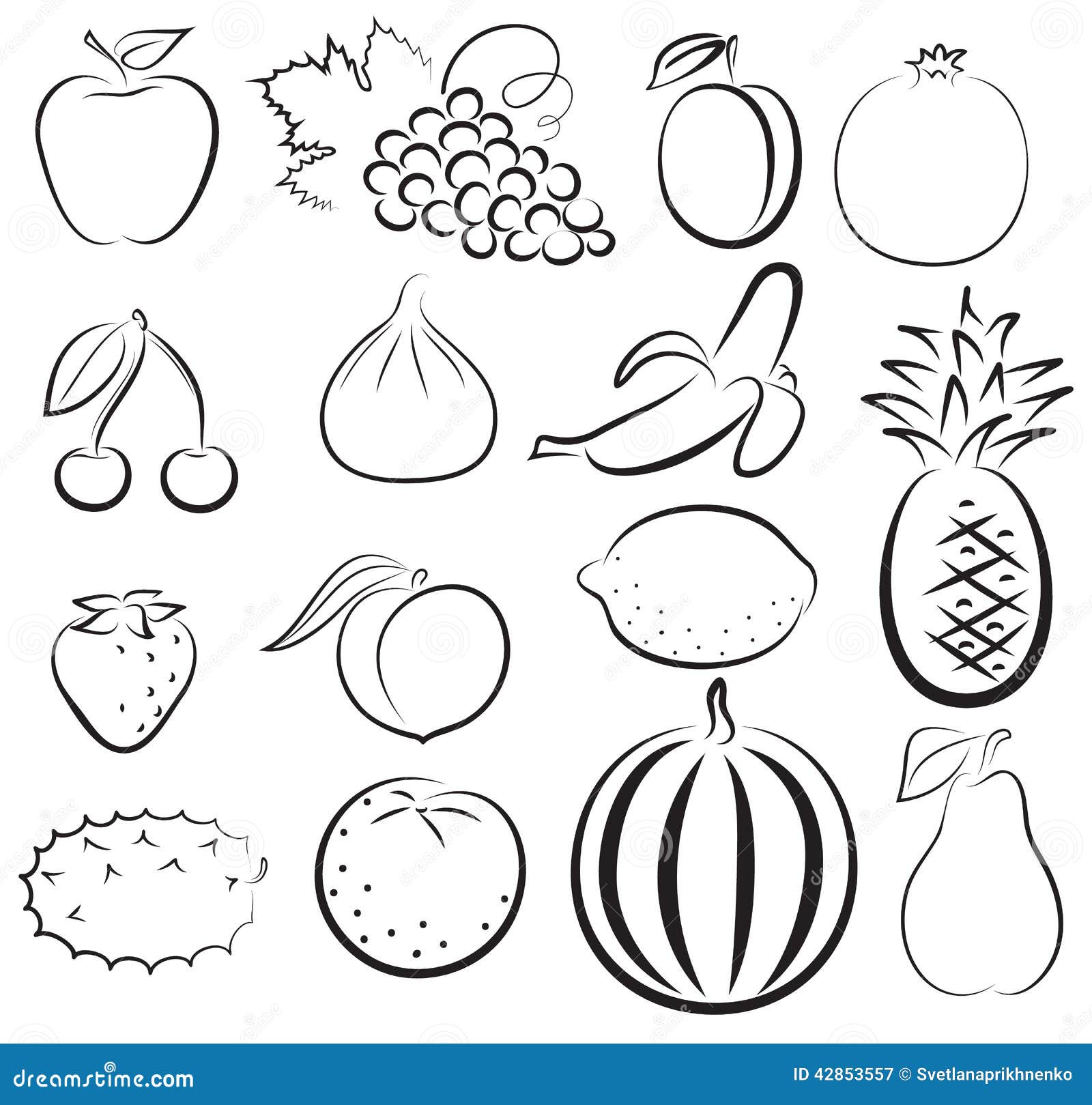 Vector Sketch Fruits Stock Illustration  Download Image Now  Fruit  Illustration Apple  Fruit  iStock