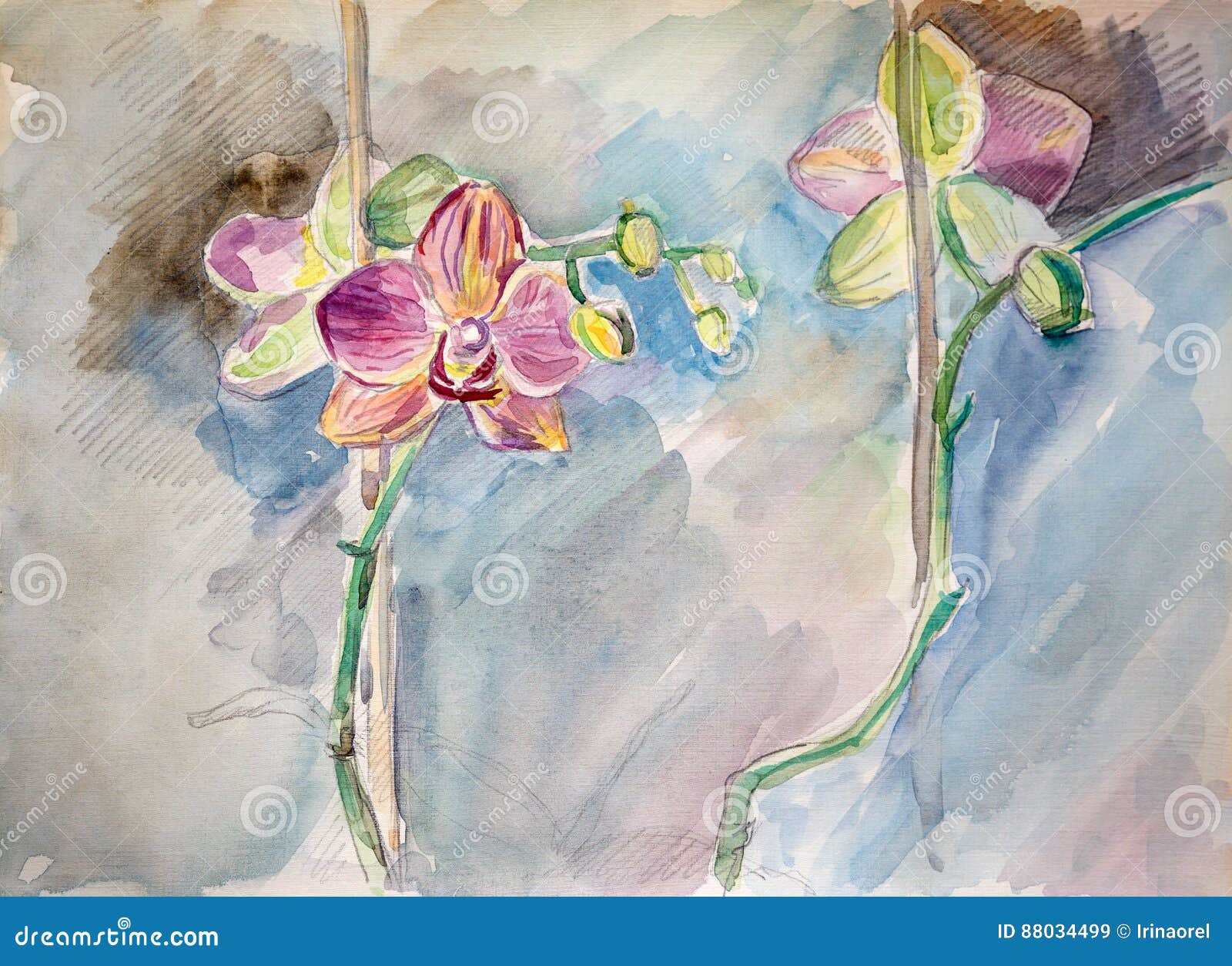 Featured image of post Orchid Flower Drawing In Pencil