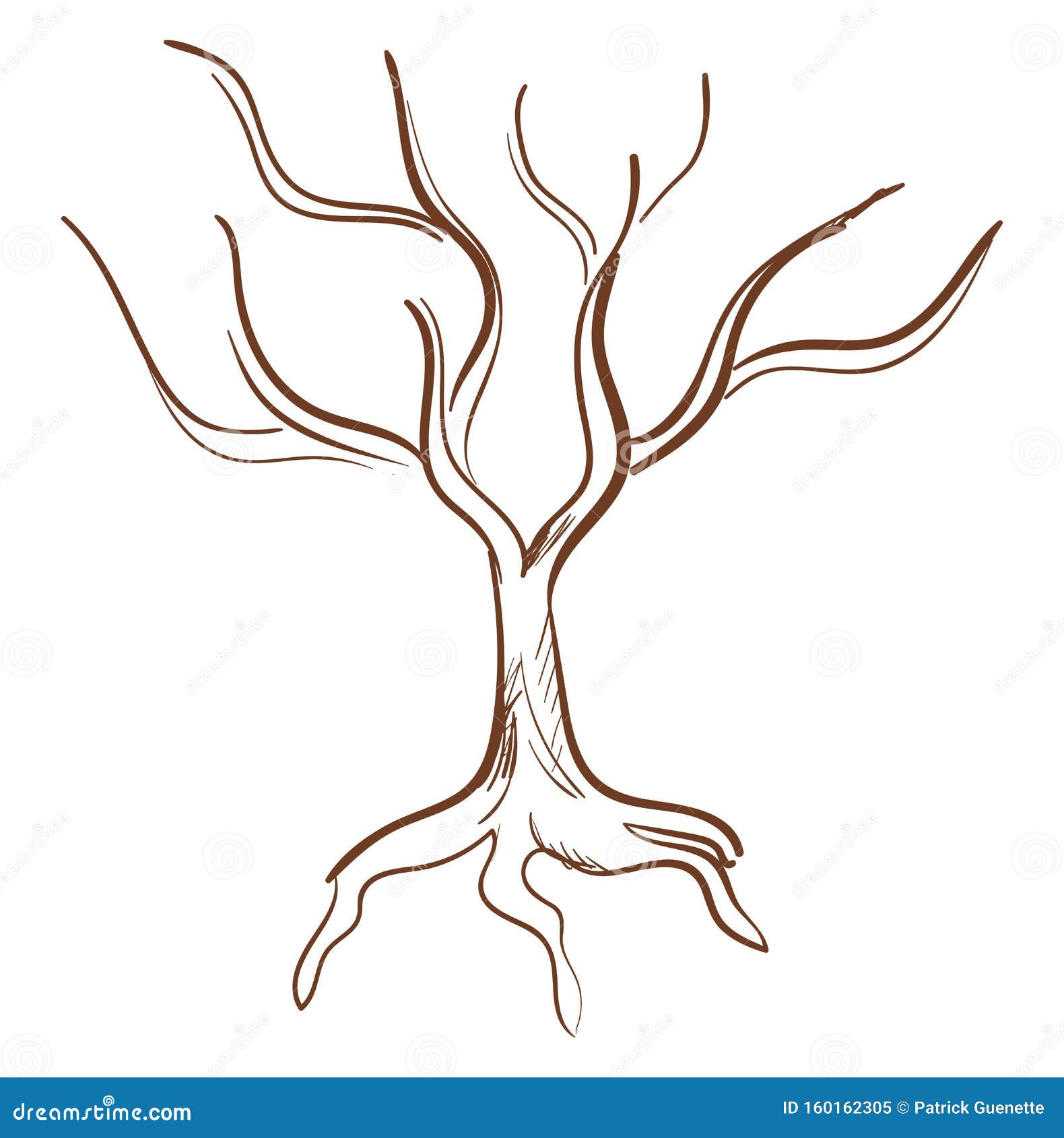 Poster Large bare tree without leaves - Hand Drawn - PIXERS.NET.AU