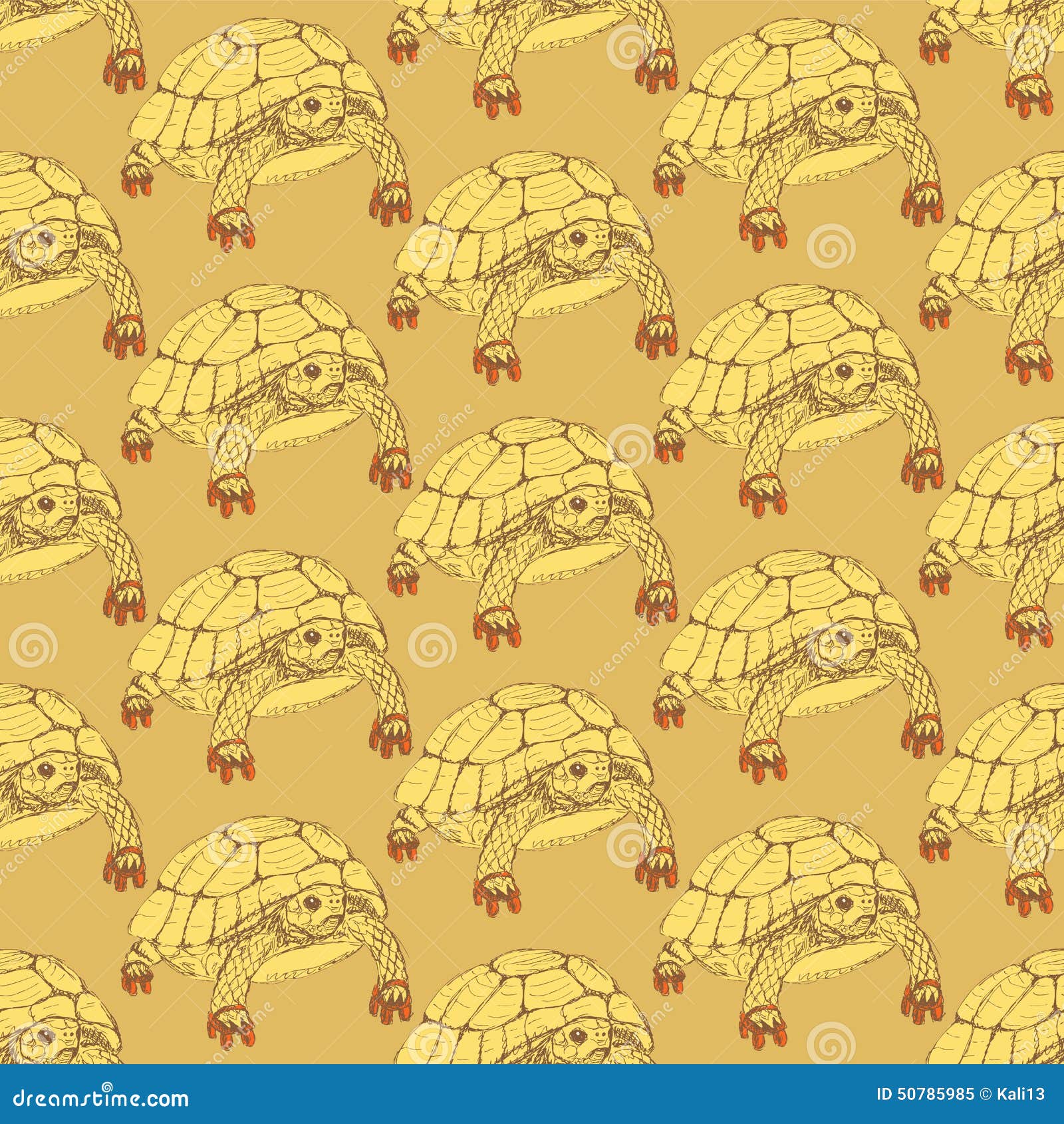 Sketch Fancy Turtle in Vintage Style Stock Vector Illustration of