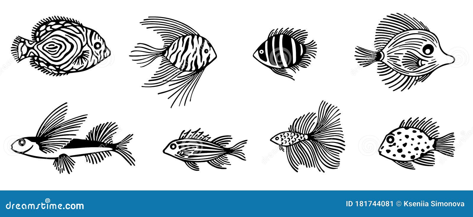 Sketch Fish Set Isolated On White Background. Vector