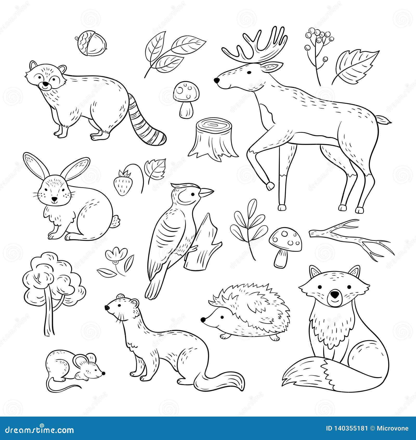 sketch forest animals. woodland cute baby animal raccoon elk hare woodpecker hedgehog marten fox children doodle 