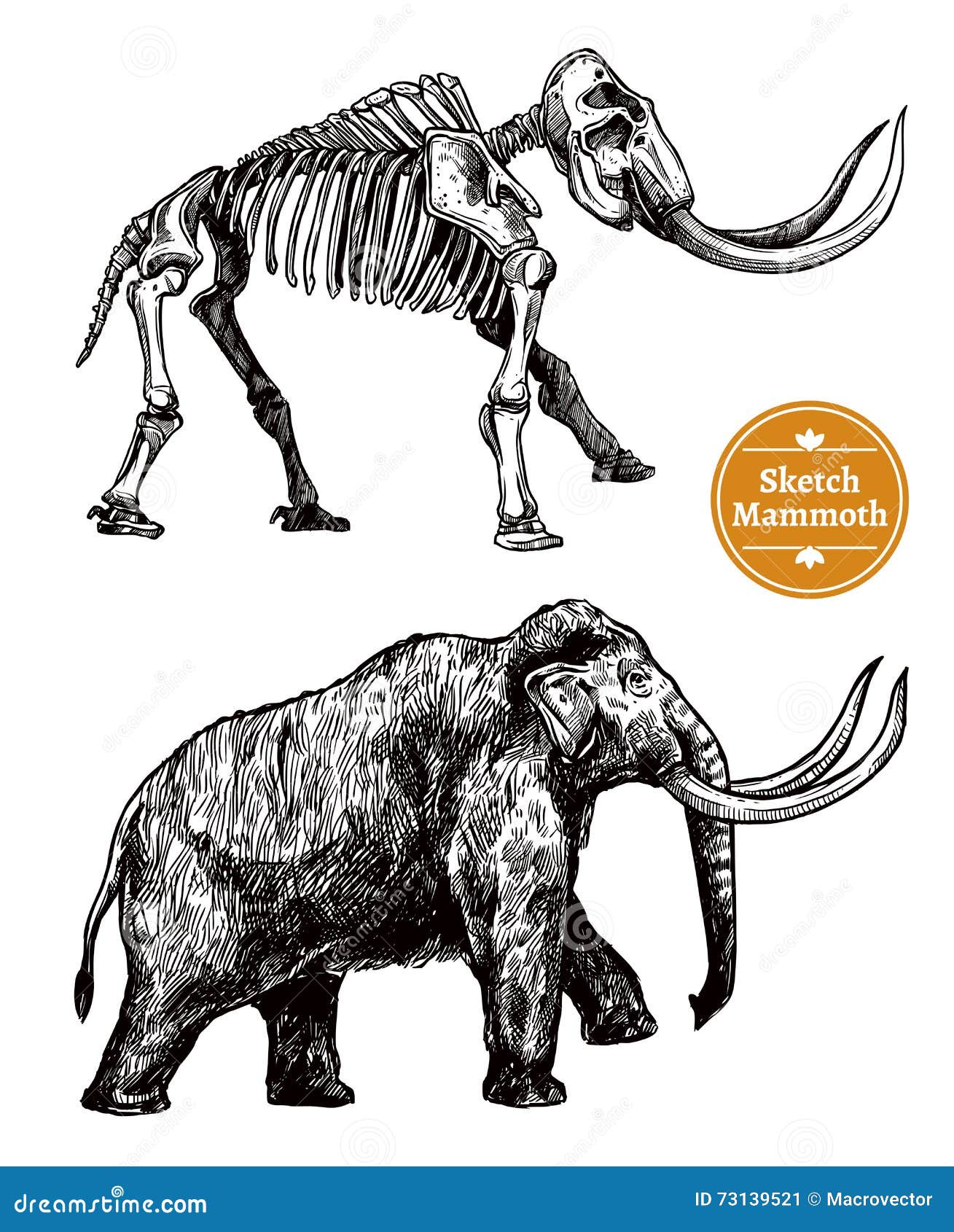 sketch hand drawn mammoth