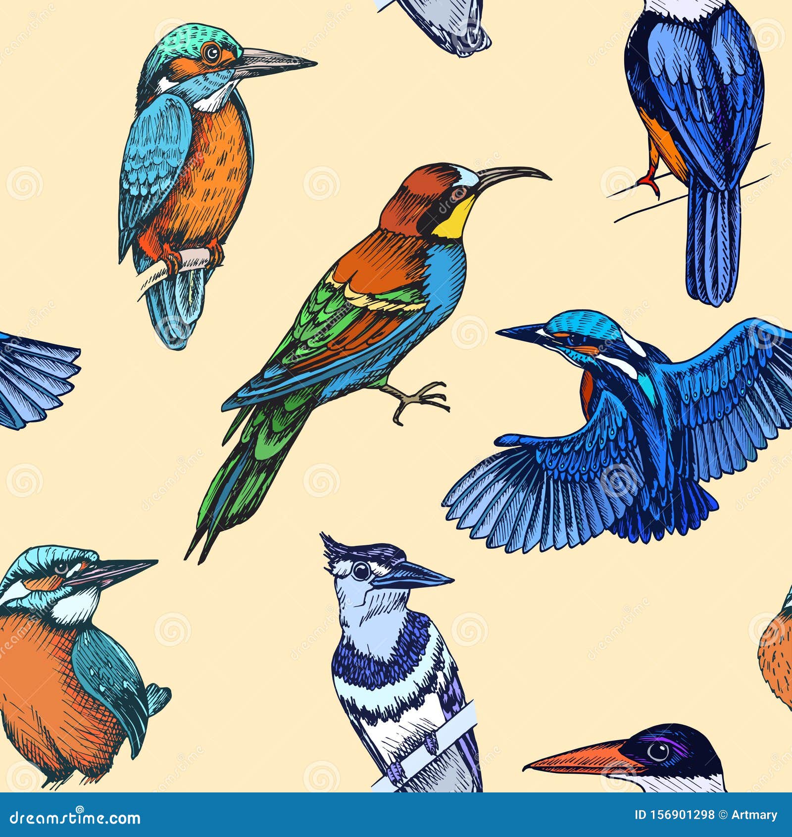Sketch Hand Drawn Pattern with Kingfisher, Blue Jay, Beeeater. Animals Illustration Birds Stock