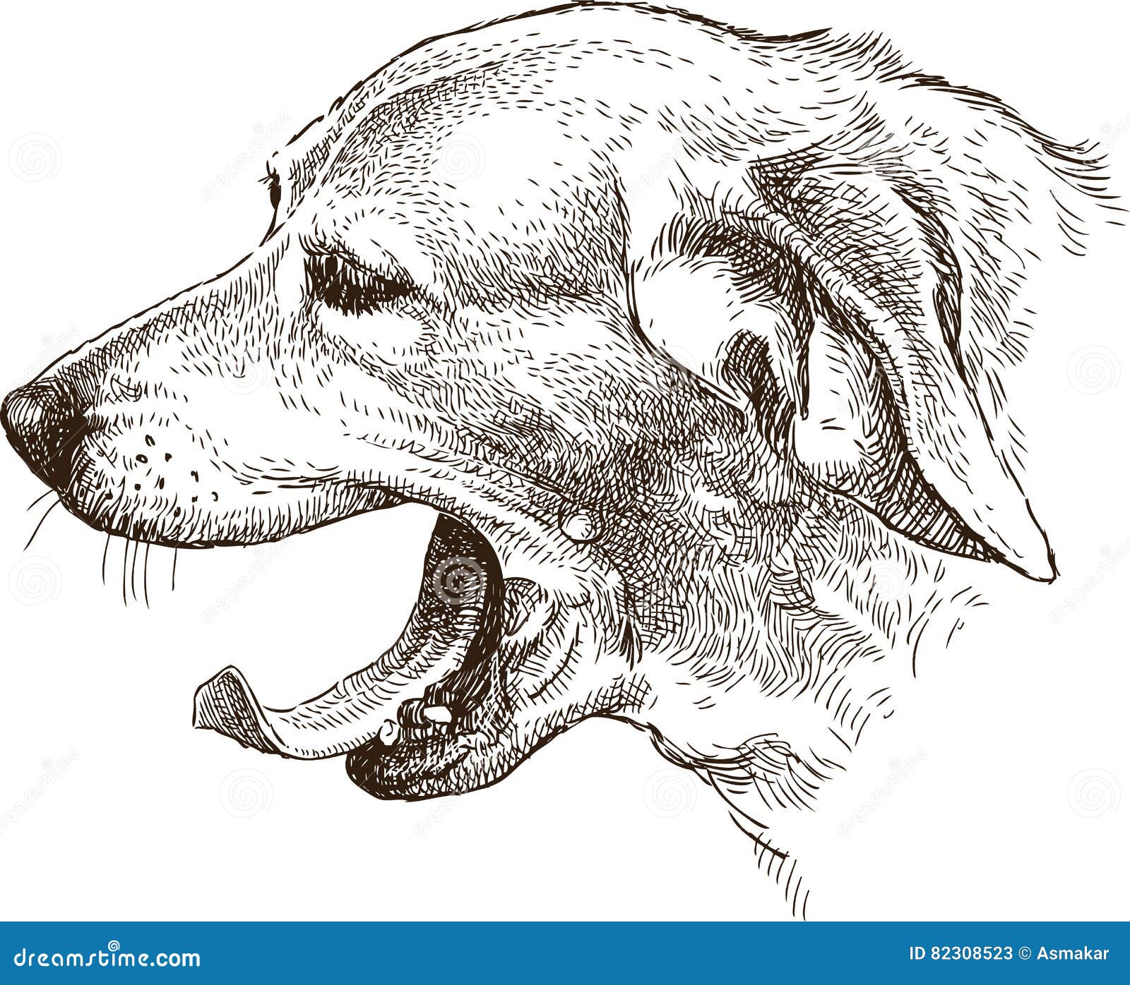 The Sketch of the Head of the Yawning Dog Stock Vector Illustration