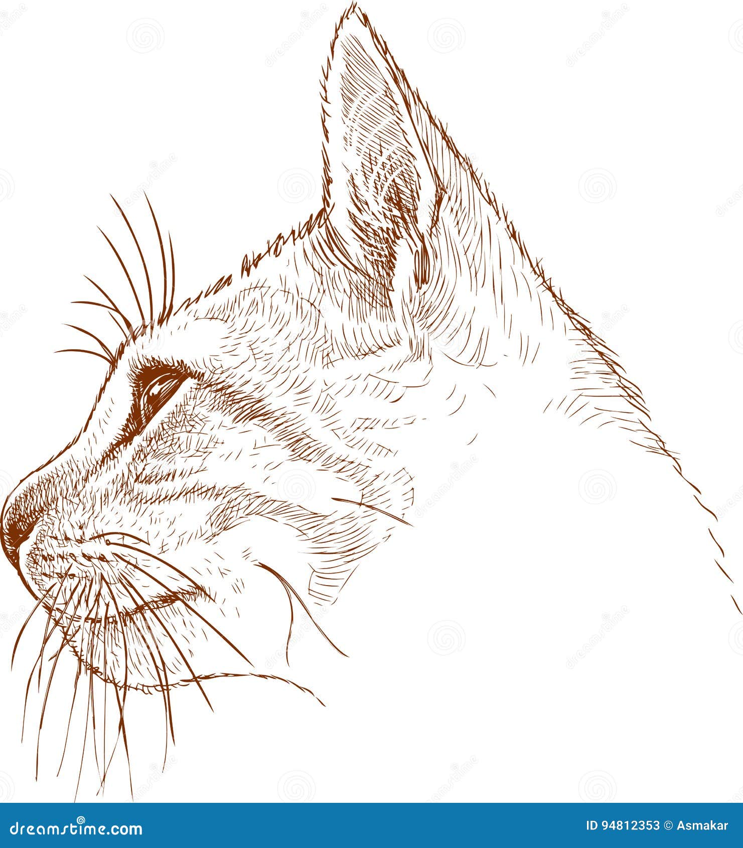 cat face side view drawing