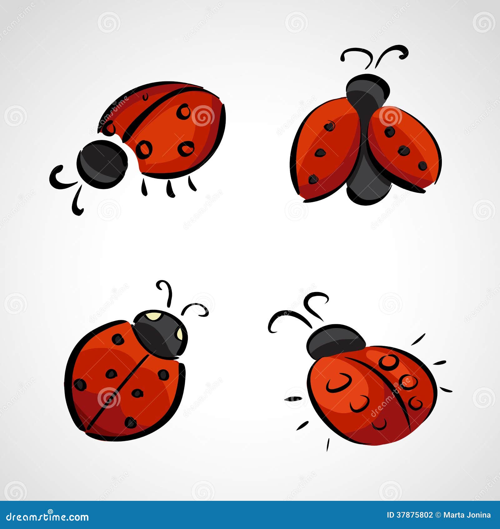 Ladybird | SeanBriggs | Fine art drawing, Ladybird, Drawings