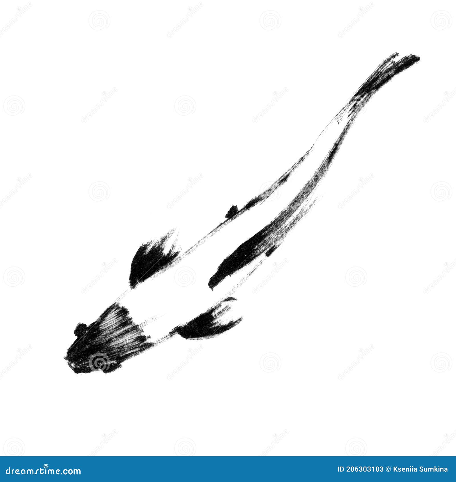 Sketch Of Japanese Koi Fish, Top View Stock Illustration - Illustration Of  Fish, Swim: 206303103