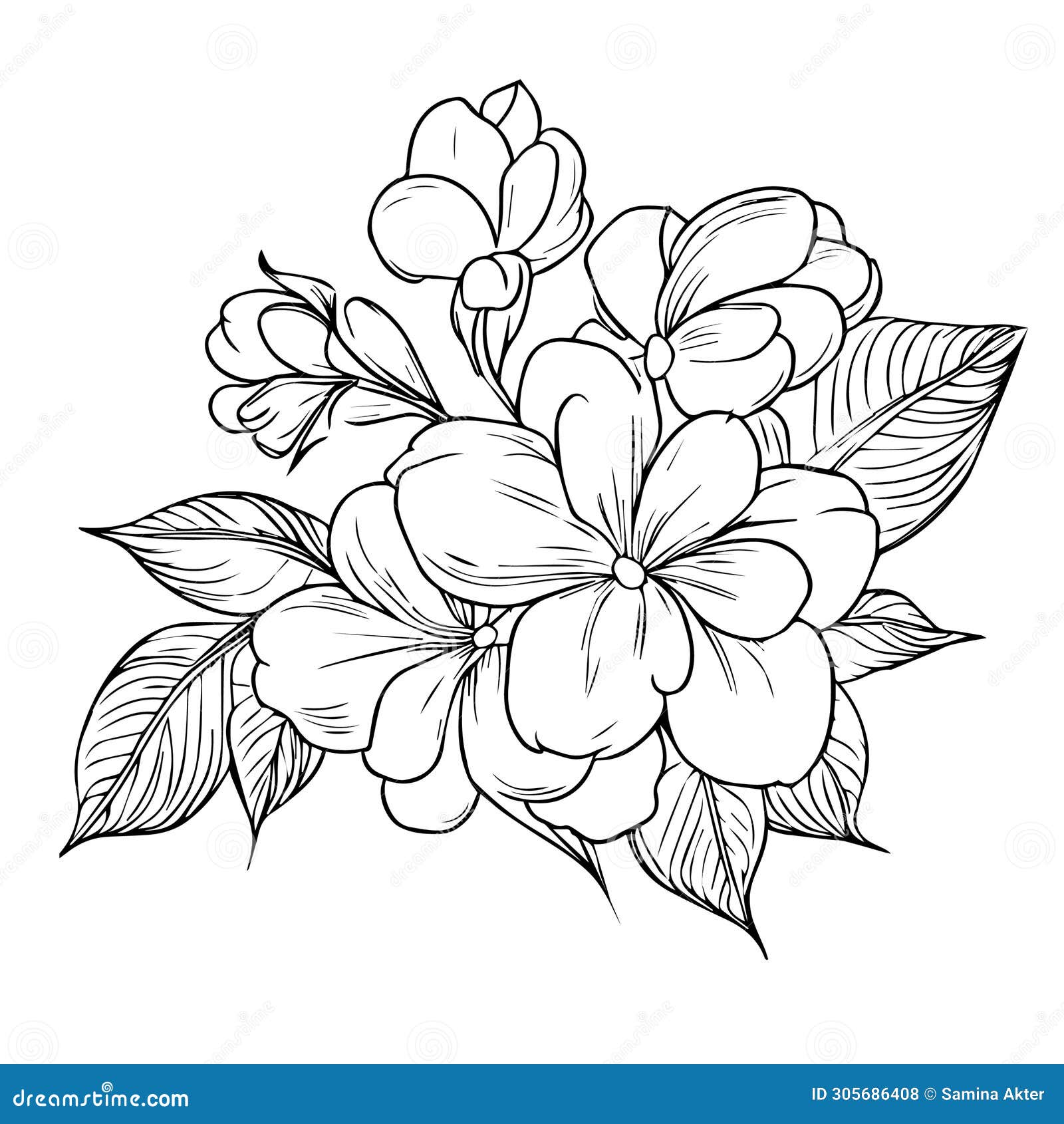 Line Drawing Jasmine Flower Illustrations Floral Decorative Wreaths Clipart  Fine Art Graphic Botanical Line Art , SVG, Frames, Leaf Logo - Etsy