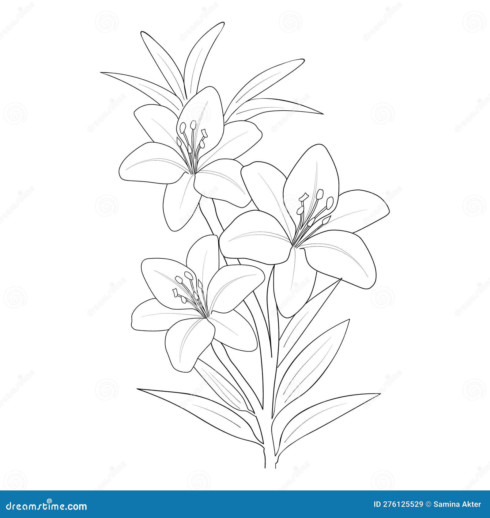 Sketch Lily Flower Drawing, Sketch Lily Flower Drawing, Tattoo Sketch ...