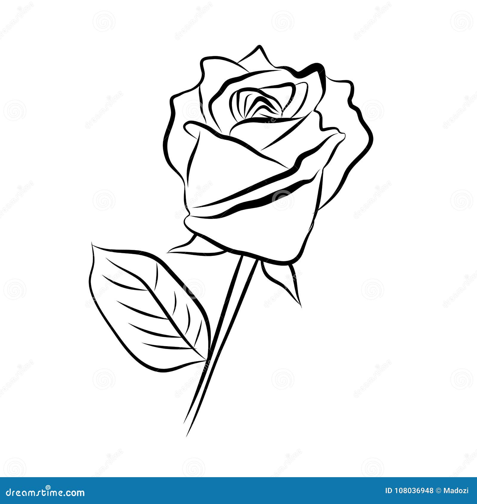 Sketch Line Drawing Of Rose Stock Vector Illustration Of Doodle