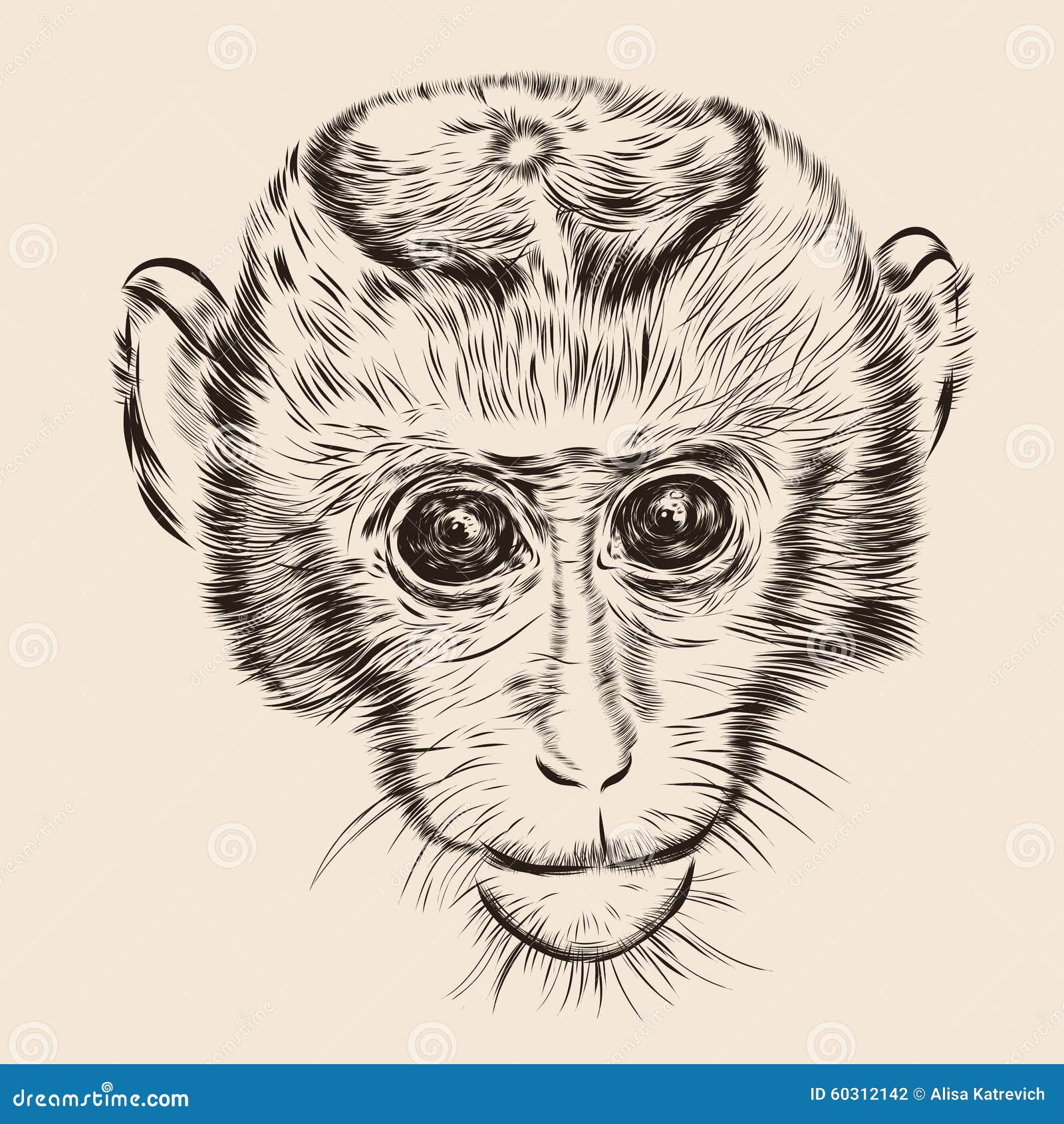 Monkey face sketch hand drawn in doodle style Vector Image