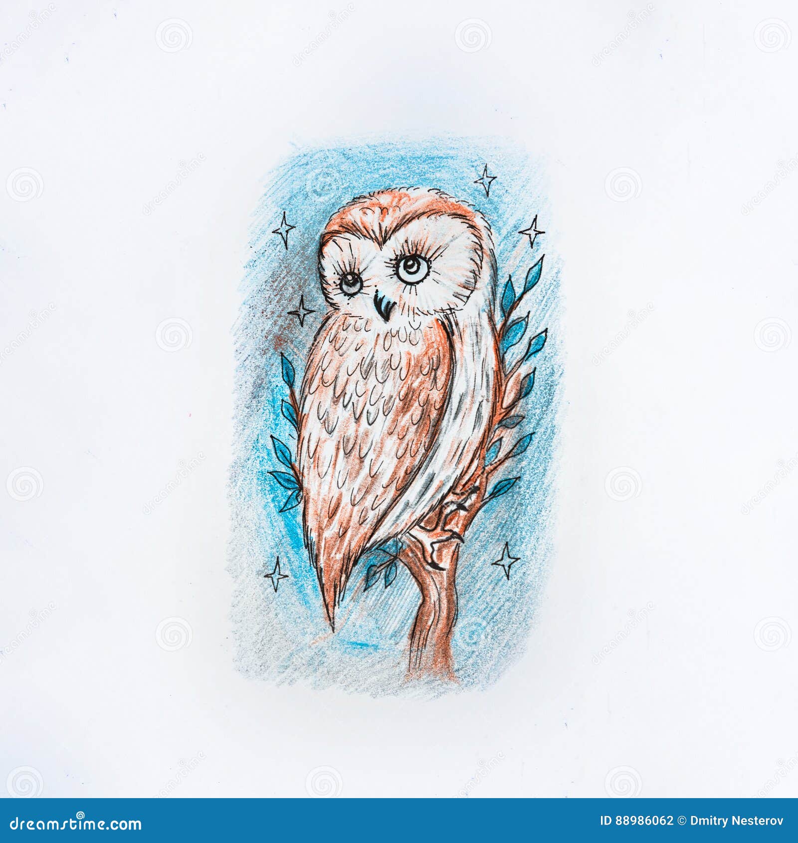 Sketch In The Night Owl On White Background. Stock Illustration