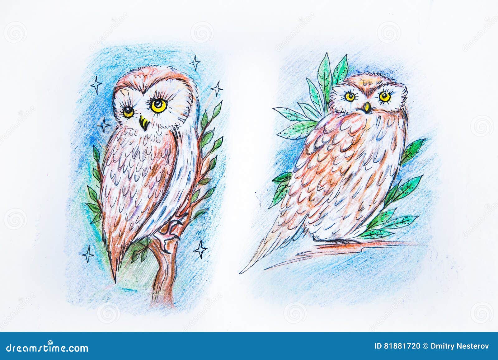 Sketch In The Night Owls On A White Background. Stock Illustration