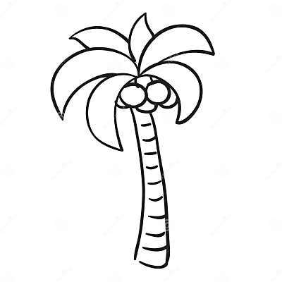 Sketch of Palm Tree with Coconuts, Coloring Book, Cartoon Illustration ...