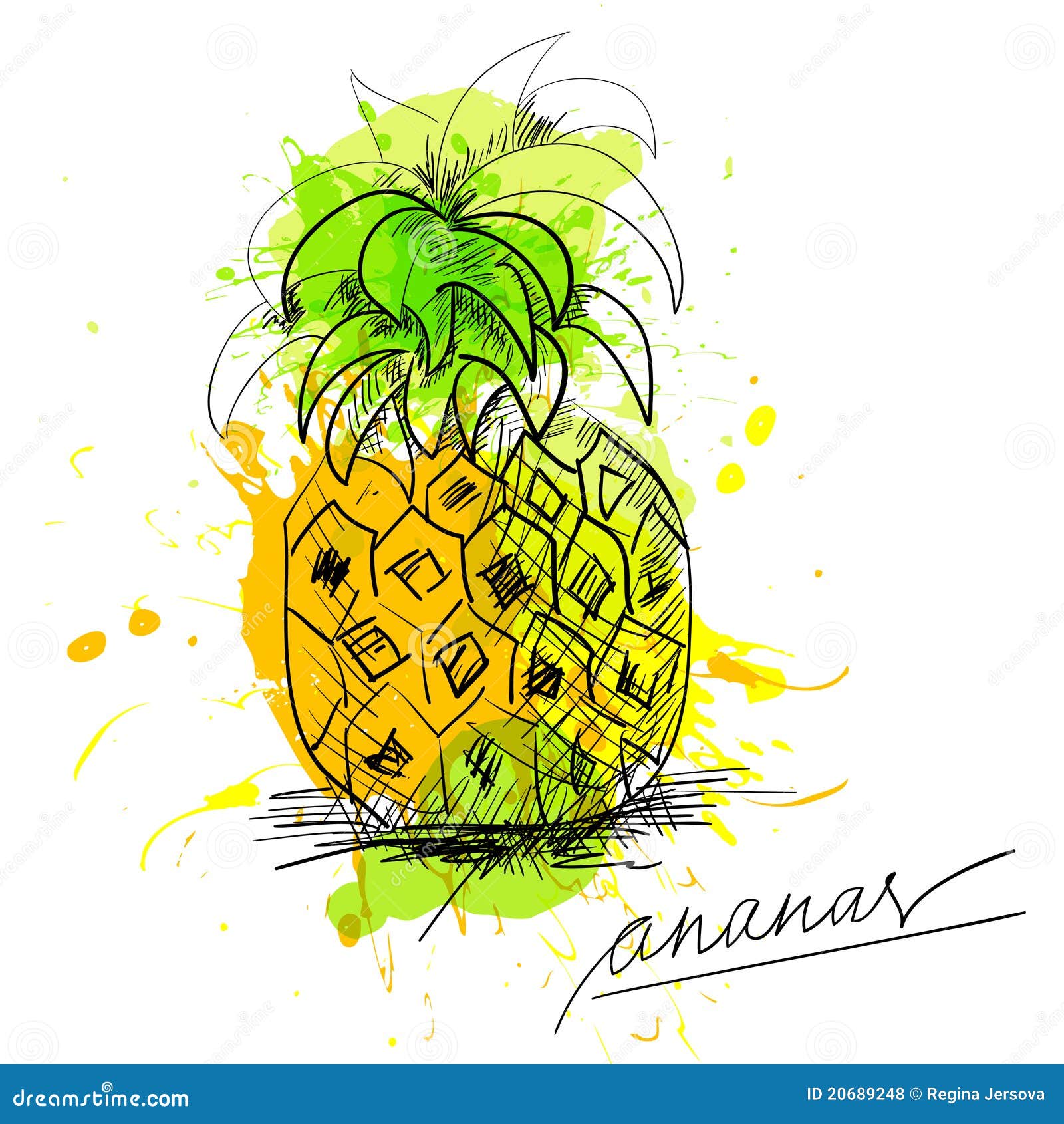 Sketch of pineapple stock vector. Illustration of dots - 20689248