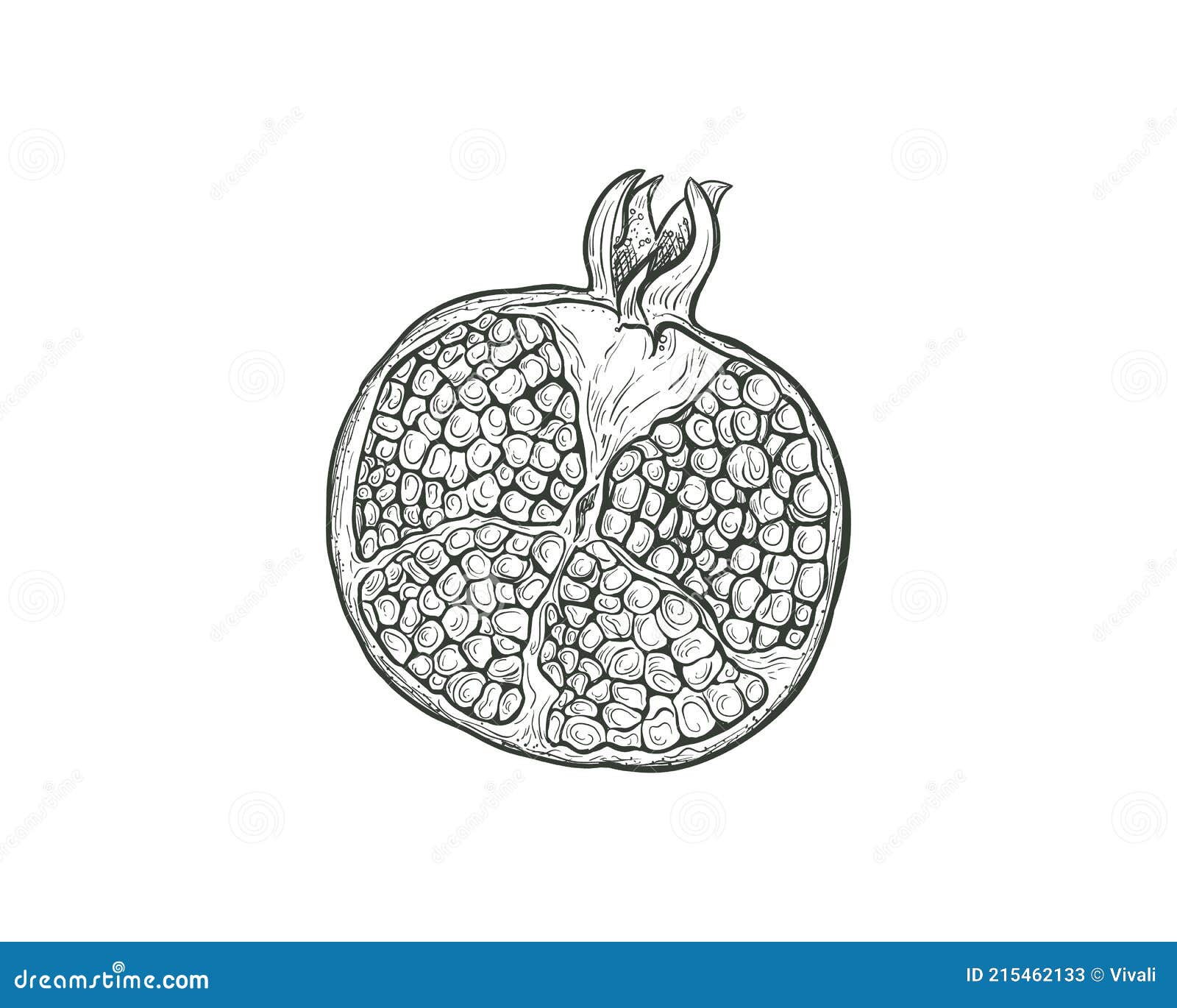 Pomegranate fruit cartoon illustration hi-res stock photography and images  - Alamy