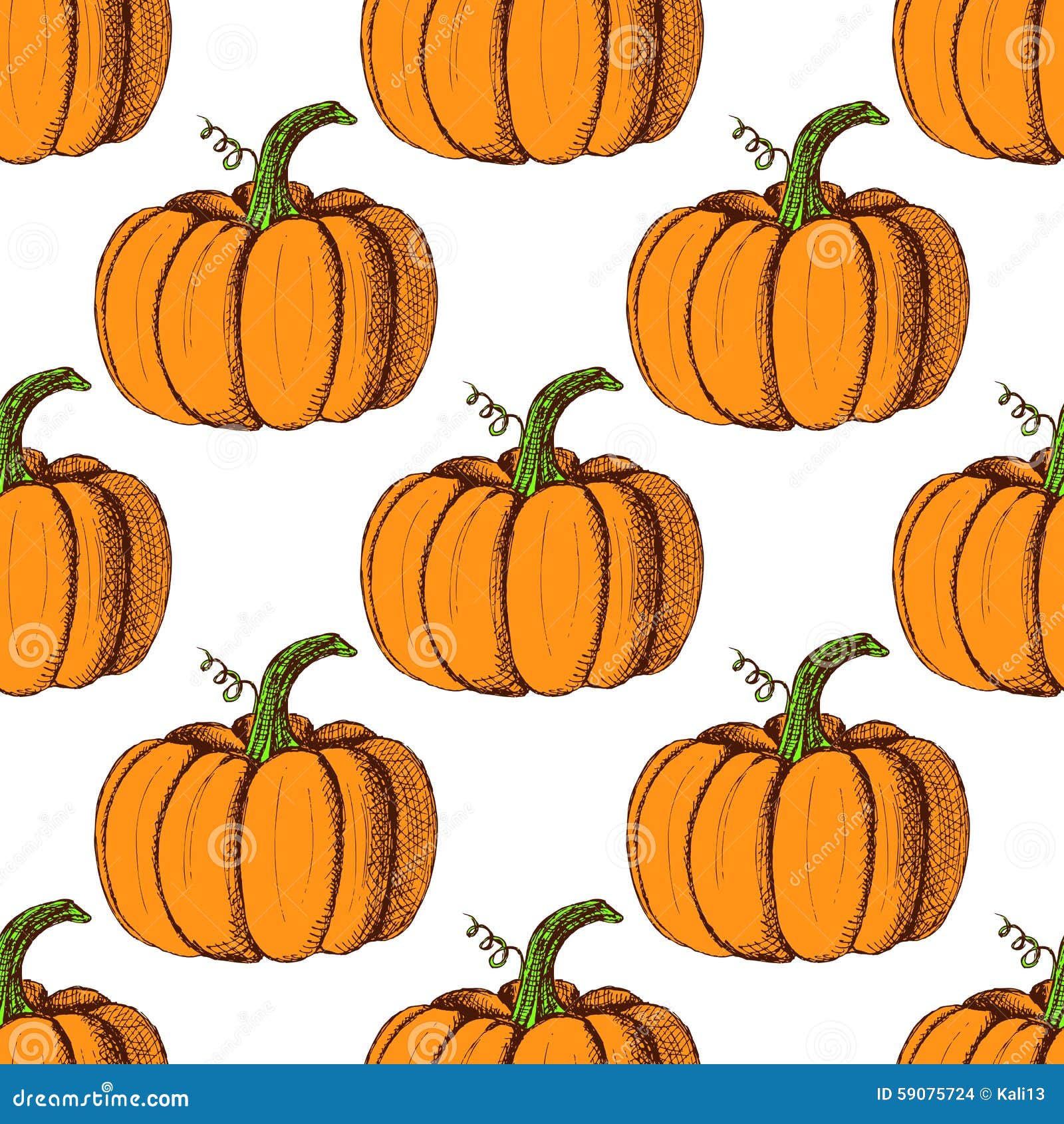 Sketch Pumpkin in Vintage Style Stock Illustration Illustration of