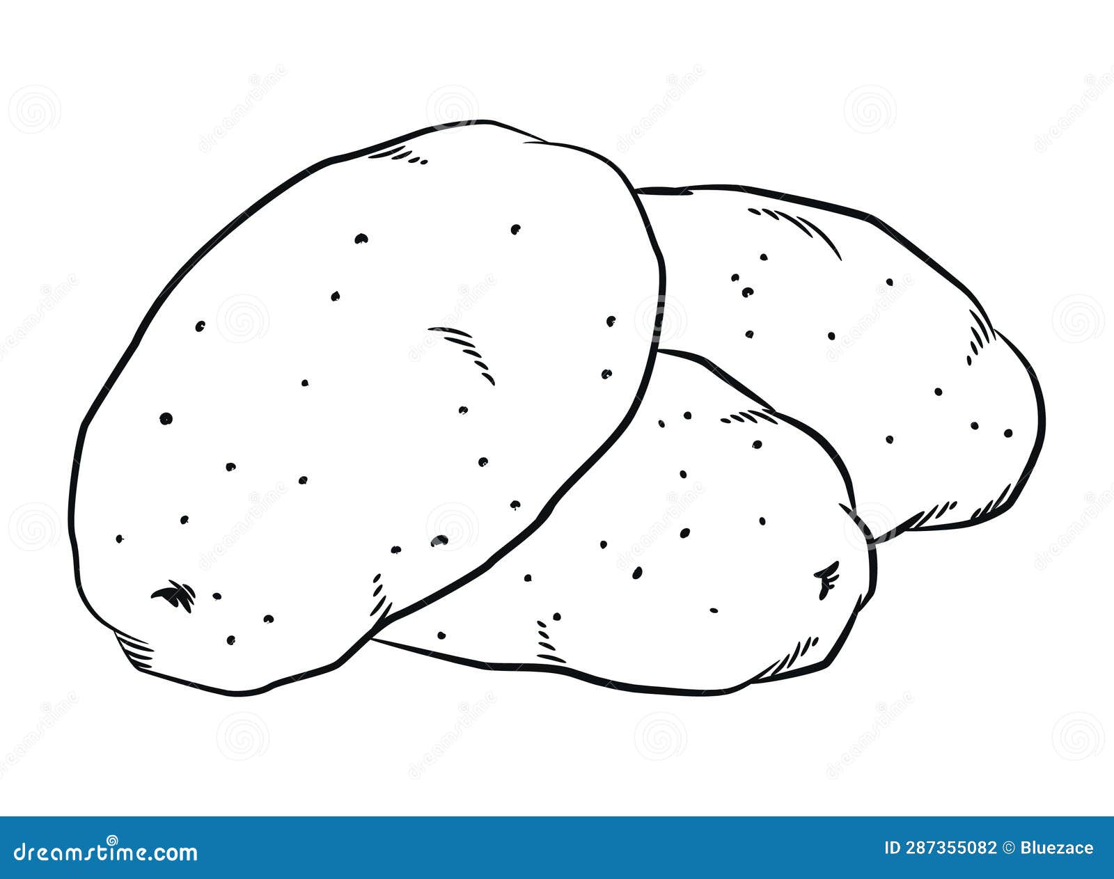 Sketch Raw Potato Starchy Carbohydrates Ingredient Stock Illustration