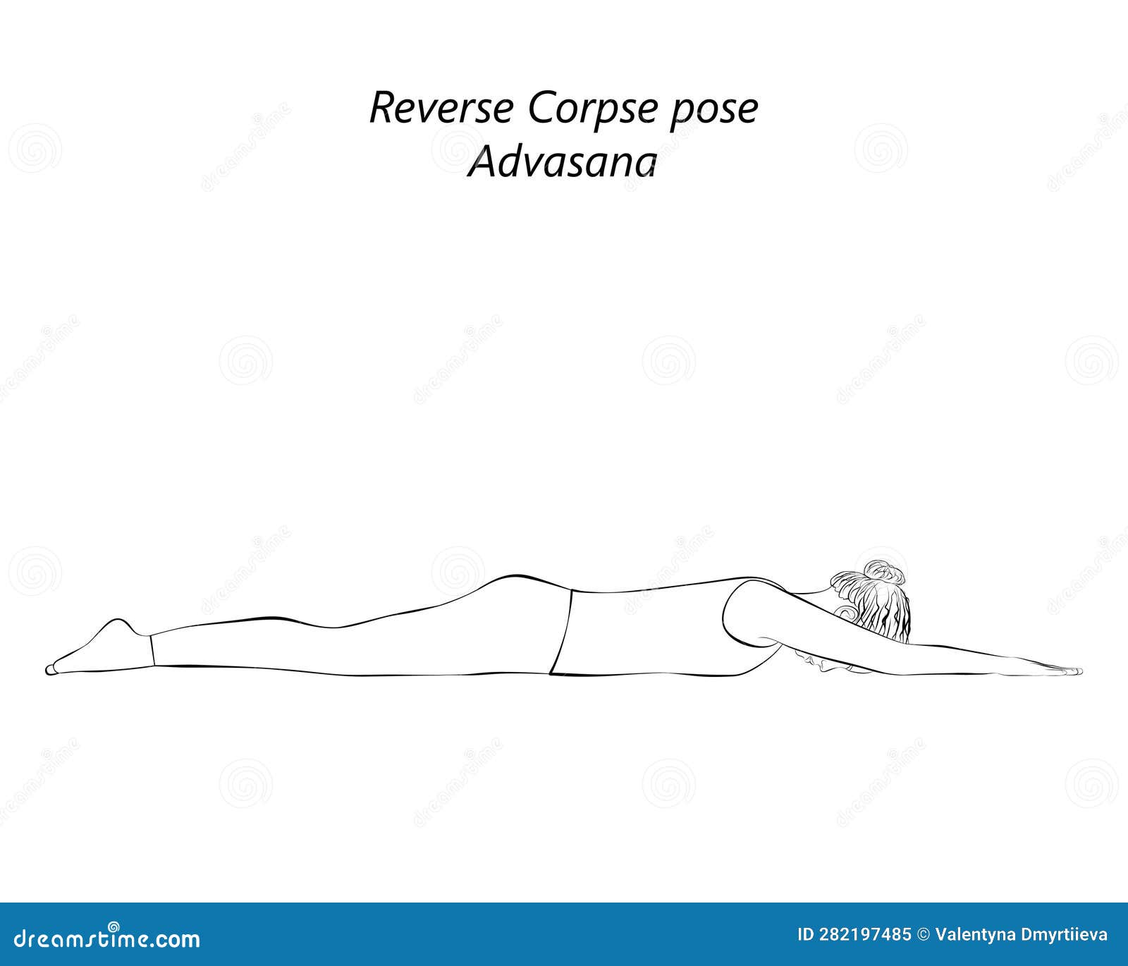 Sketch. Reverse Corpse Pose. Advasana. Stock Illustration ...