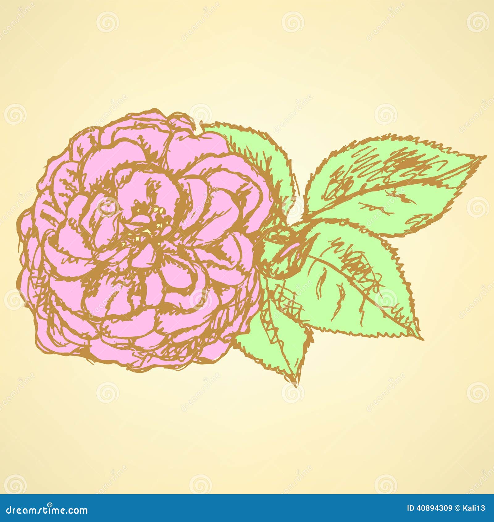 Sketch Rose With Leaves, Vector Background 40894309
