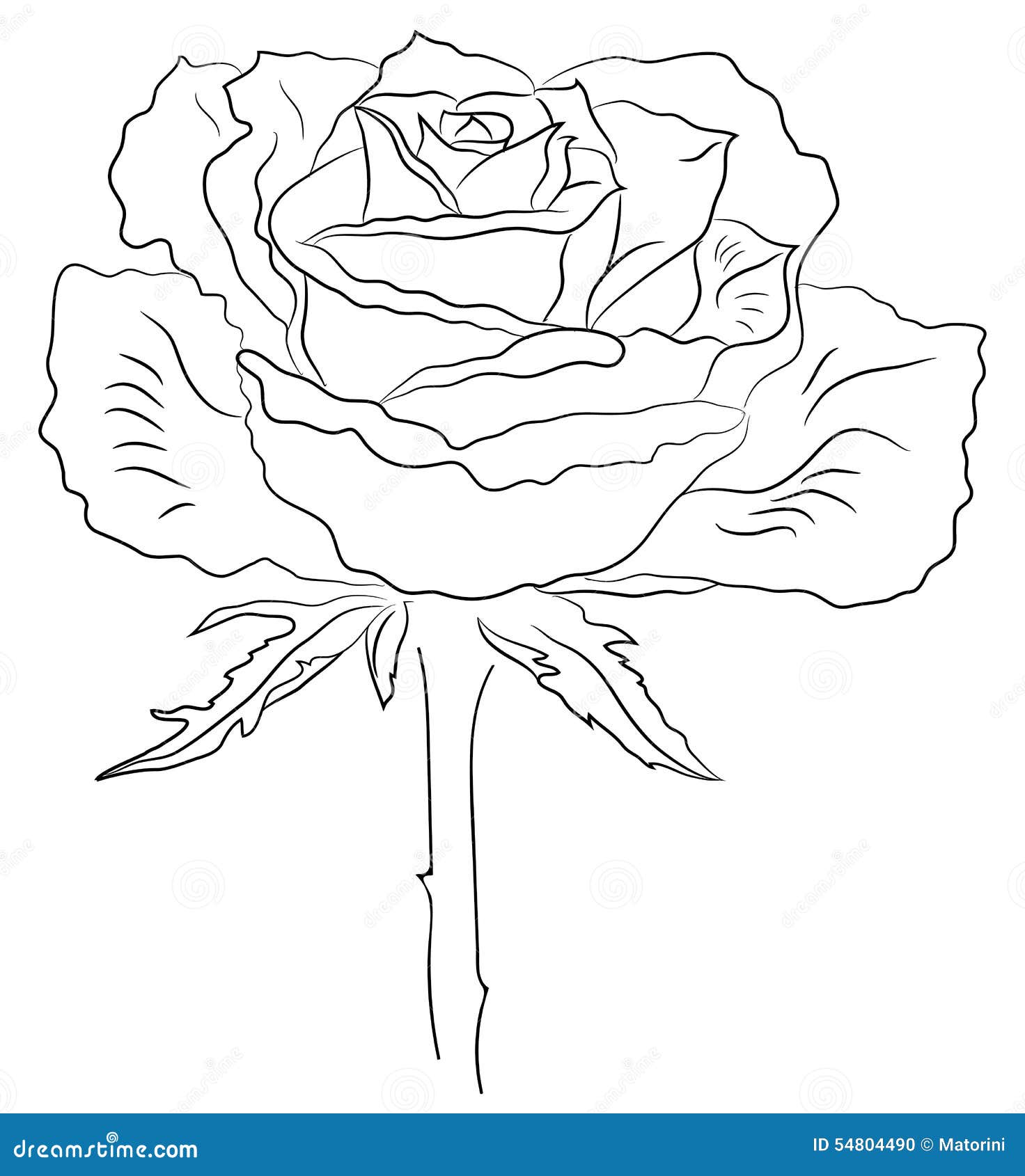 Tattoo With Rose Flower Sketch Of Plant Stock Illustration - Download Image  Now - Beauty, Black Color, Blossom - iStock