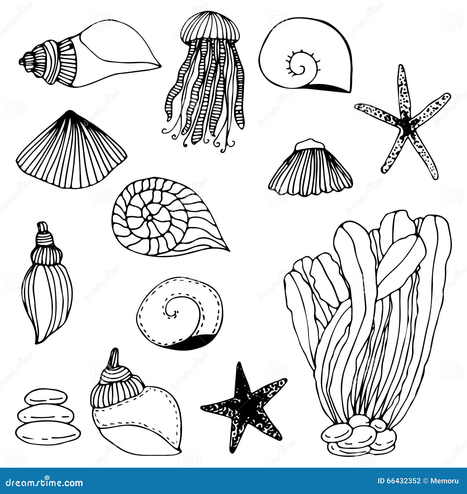 Set of sea life doodle. Underwater elements. Shells, fish, corals and  seaweed in sketch style. Hand drawn vector illustration isolated on white  background. 7806920 Vector Art at Vecteezy