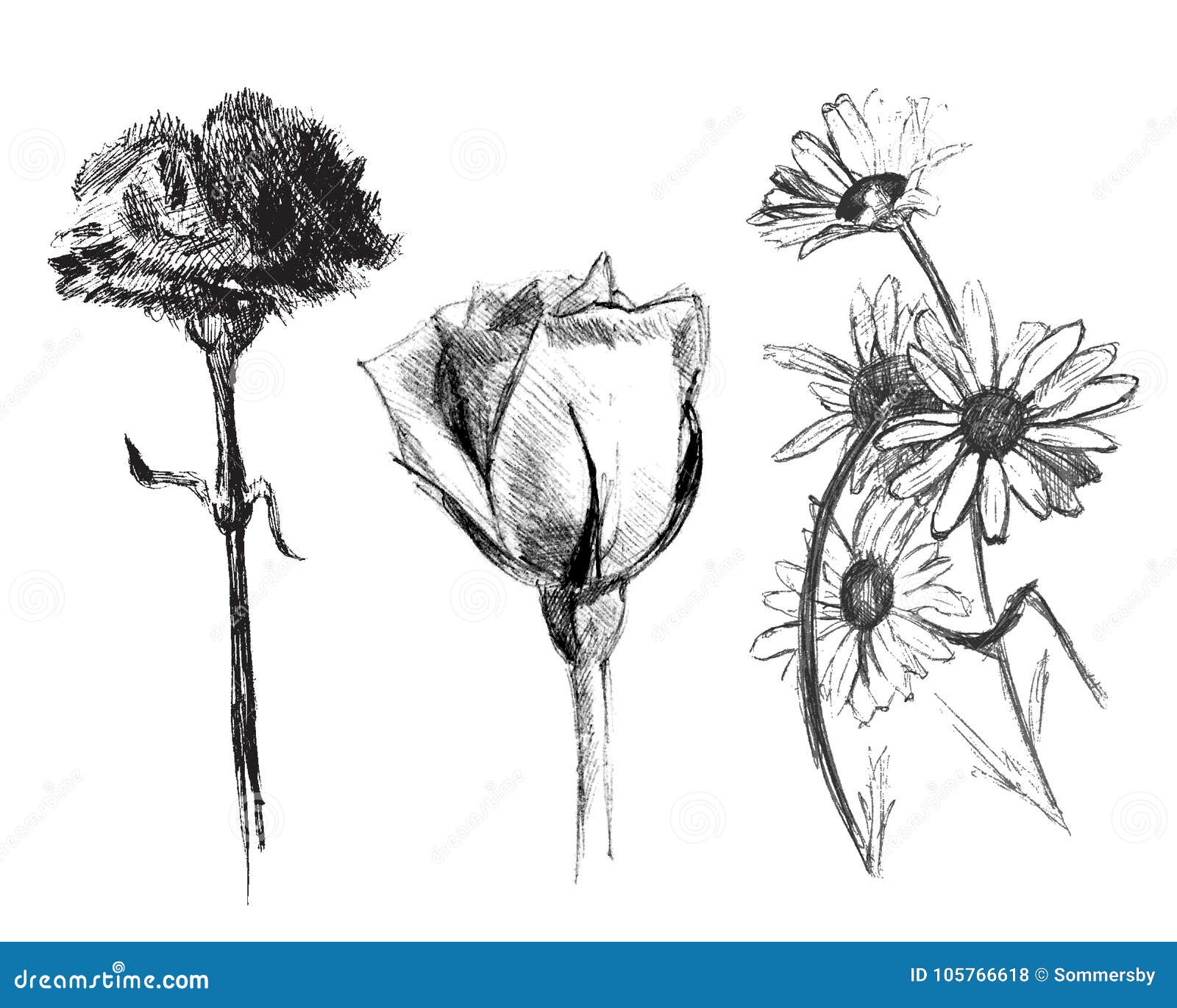 How to Draw ANY Flower with Pen & Ink - Ran Art Blog