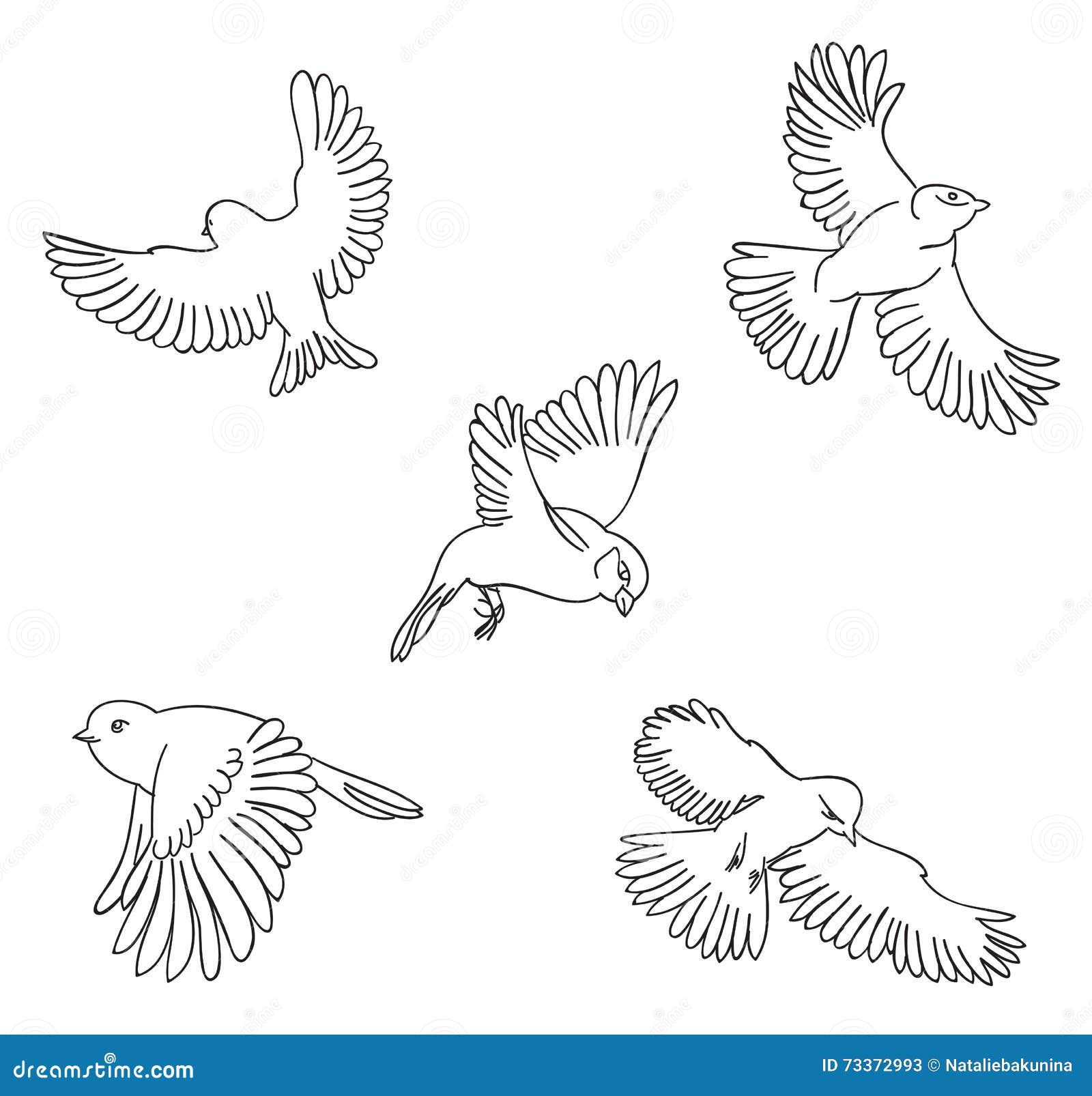 Coloring Birds Stock Illustrations – 21,21 Coloring Birds Stock ...