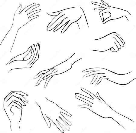 Sketch set woman hands stock vector. Illustration of lady - 15298331