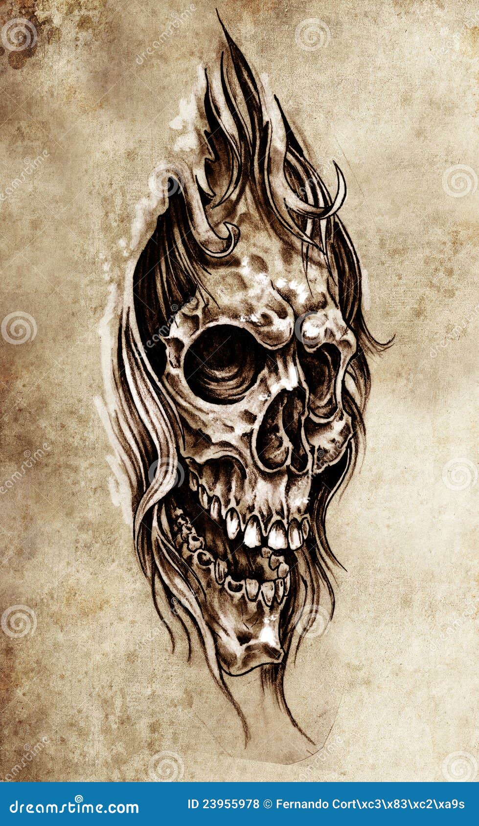 Fantasy fairy skull.Hand drawing and make graphic vector. 23782006 Vector  Art at Vecteezy