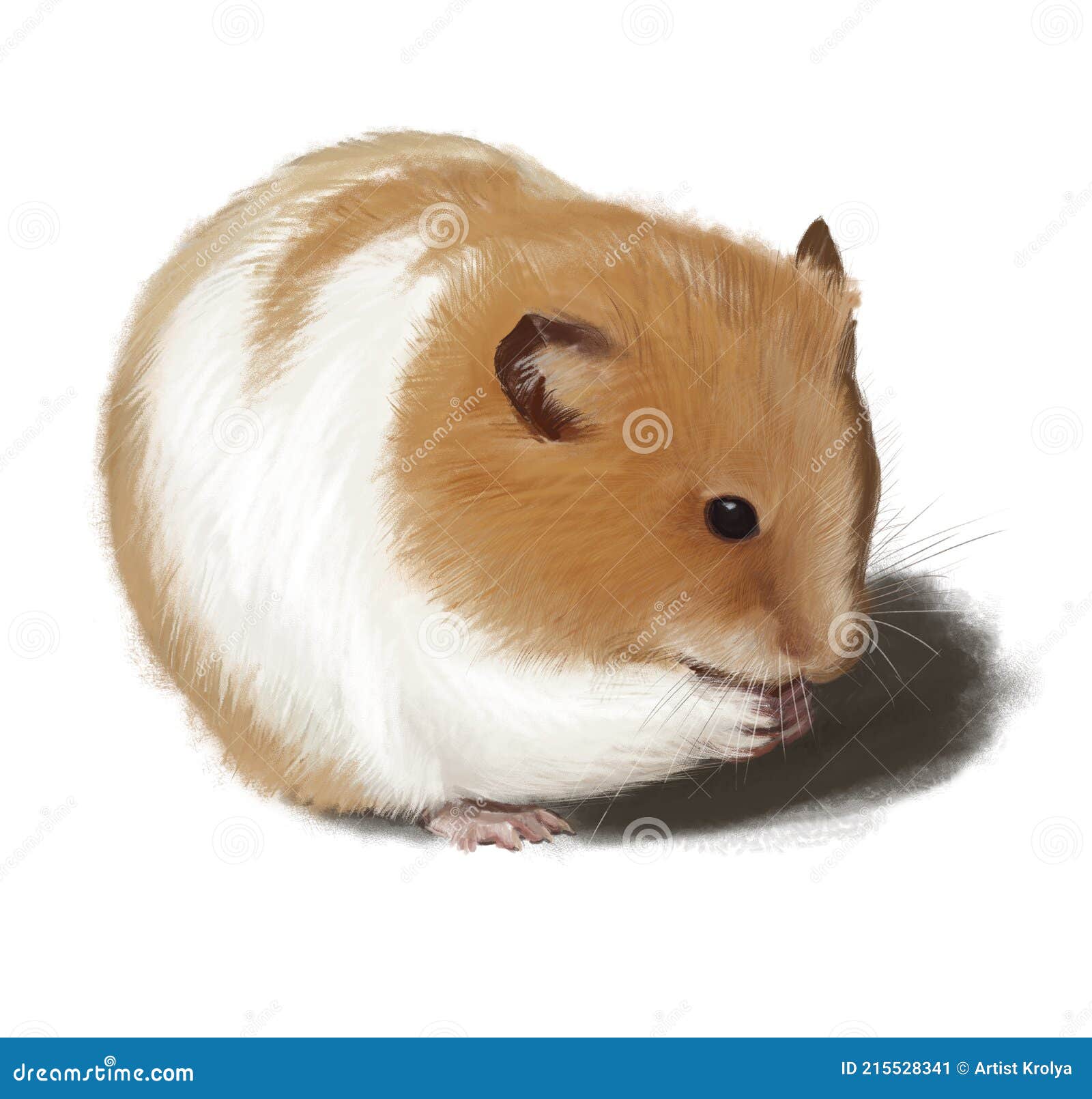 Megalopolis Outlaw Periodisk Sketch of White and Red Hamster on a White Background. Stock Illustration -  Illustration of fauna, brown: 215528341