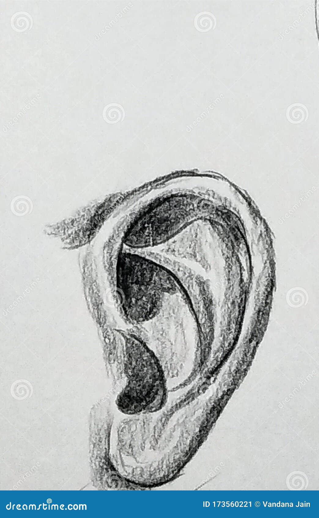 Ear line and stain Drawing by Refaela Revach  Saatchi Art