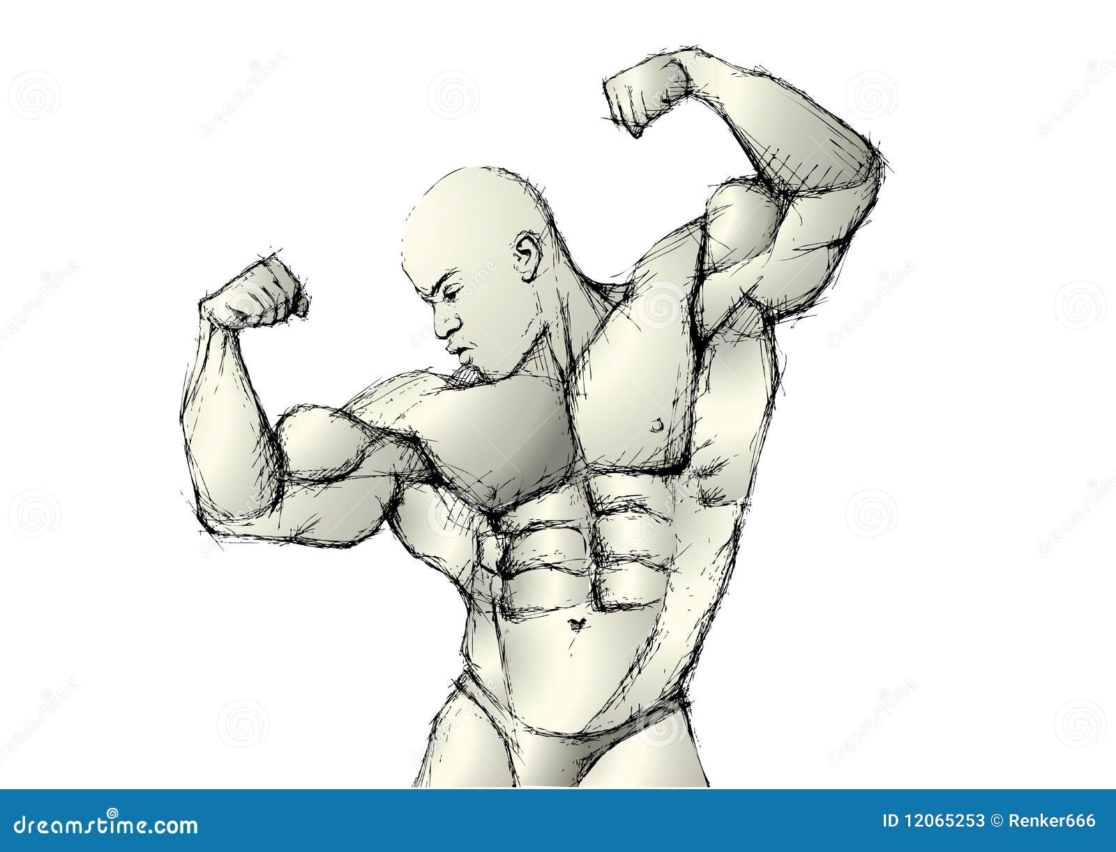 sketching bodybuilder