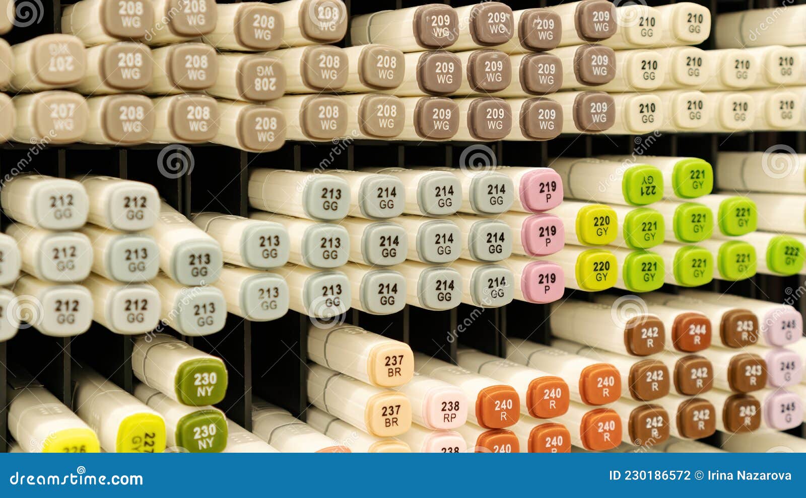 Sketching Markers are Arranged in Cells on the Shelf of a Stationery Store  for Professional Artists. Alcohol Markers Variety Stock Photo - Image of  double, coloring: 230186572