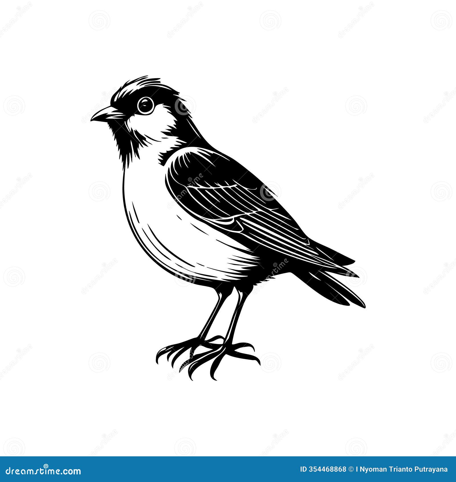 sketchy songbird silhouette