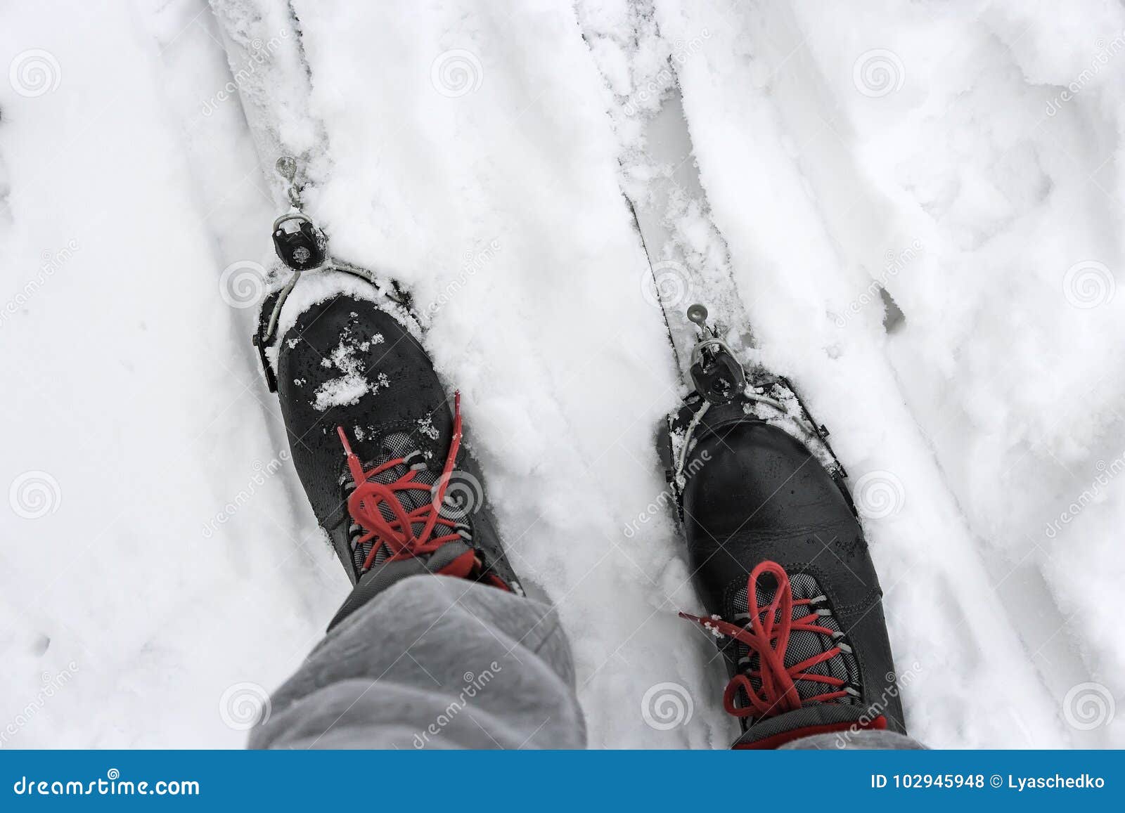 Ski Boots and Skis in the Snow. Stock Photo Image of skis, winter