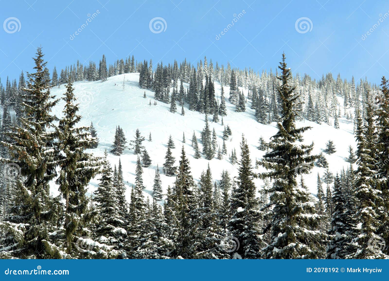 Ski Hill Powder stock photo. Image of covered, outdoor 2078192