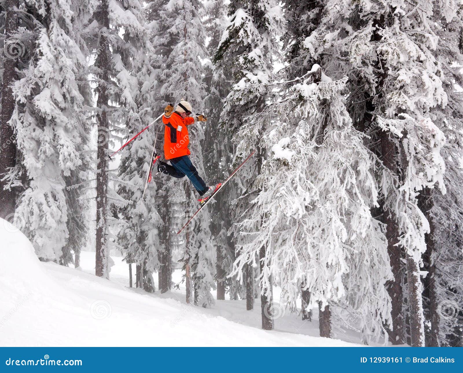 Ski Jump Stock Image Image Of Snow Vacation Jump Skier