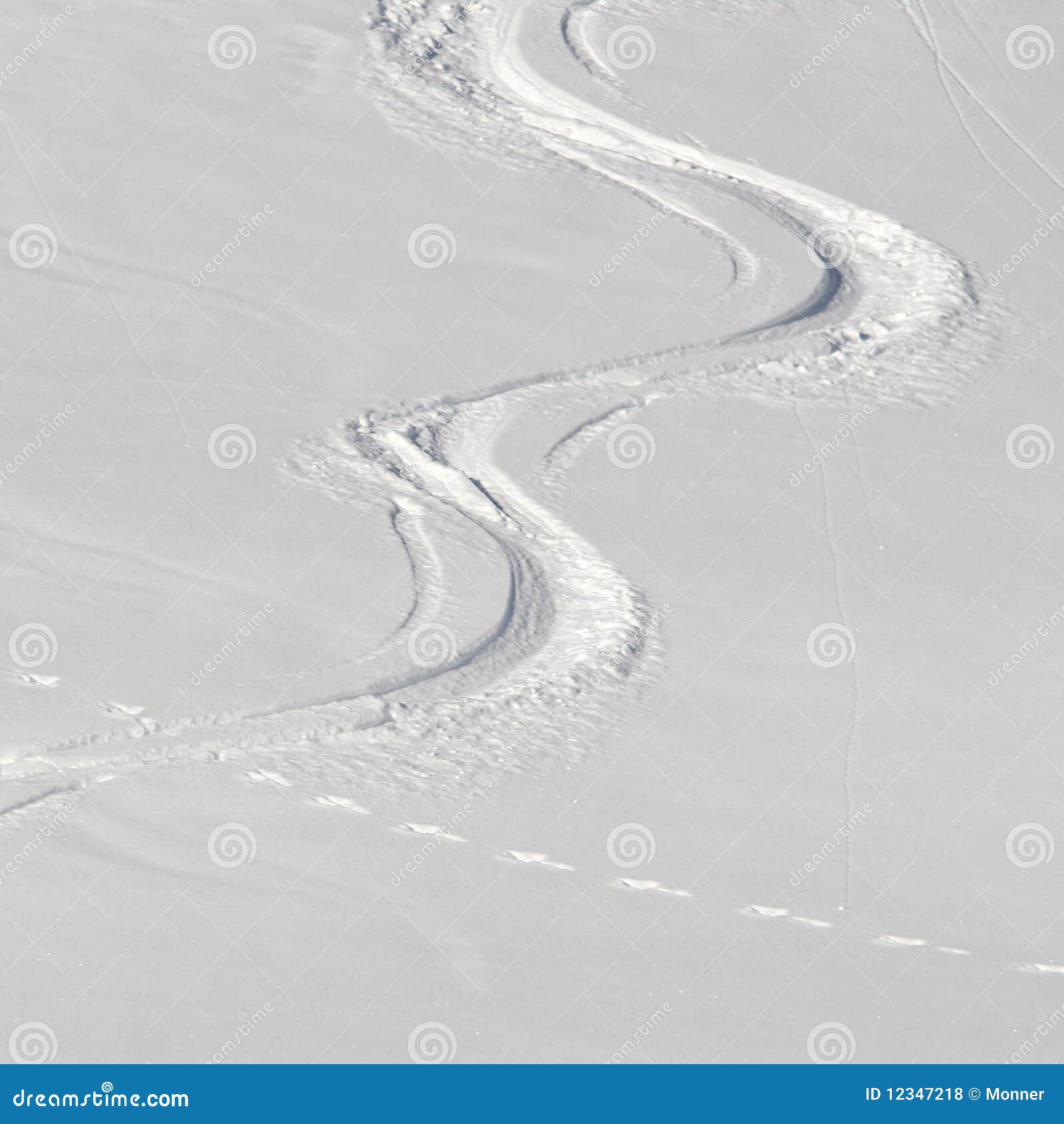 Freeride ski and snowboard tracks in powder snow Stock Photo by salajean