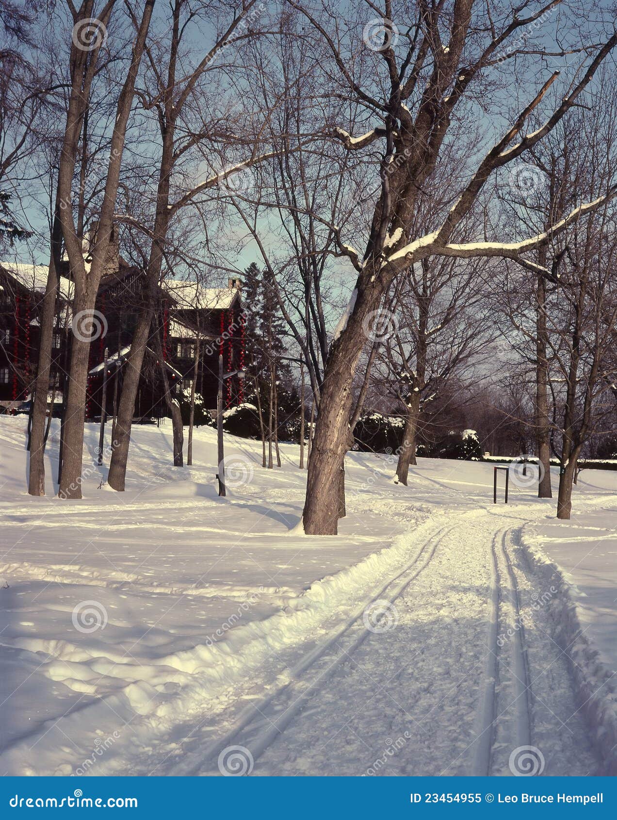 ski trail, montebello, quebec, canada.