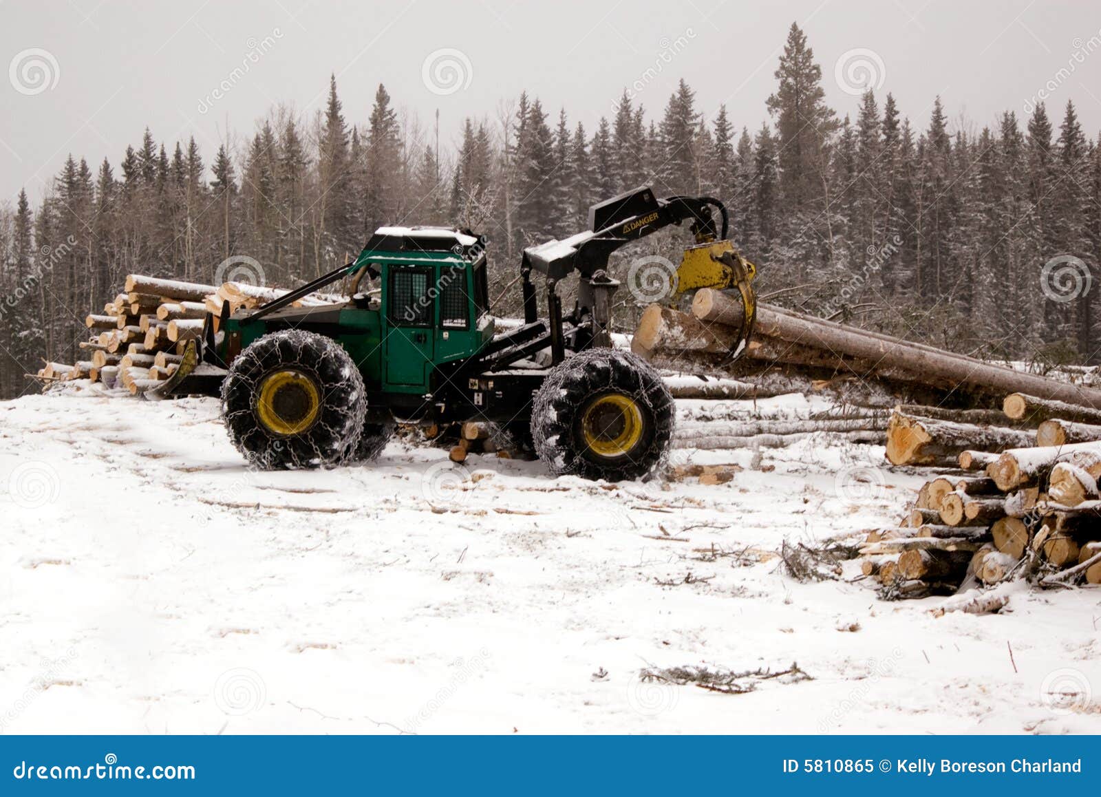 skidder hauling spruce tree