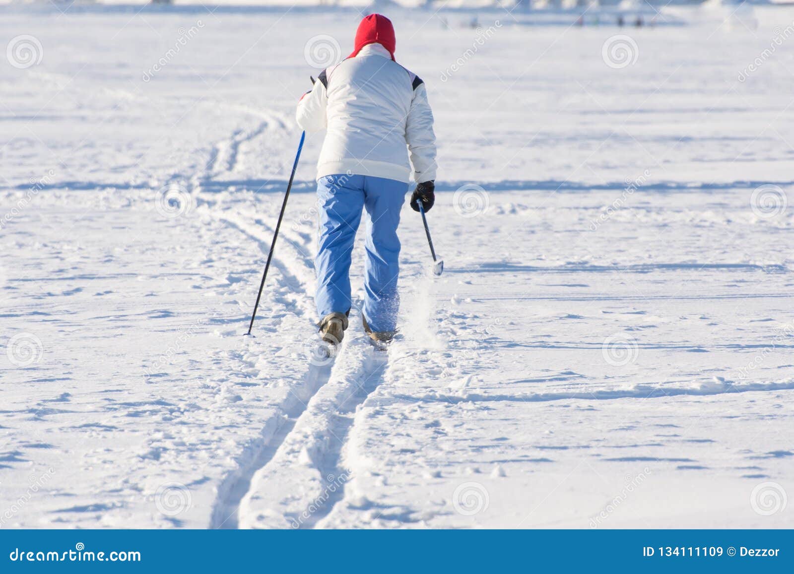 Skier Goes on the Track in the Plain on a Sunny Winter Day Stock Image ...