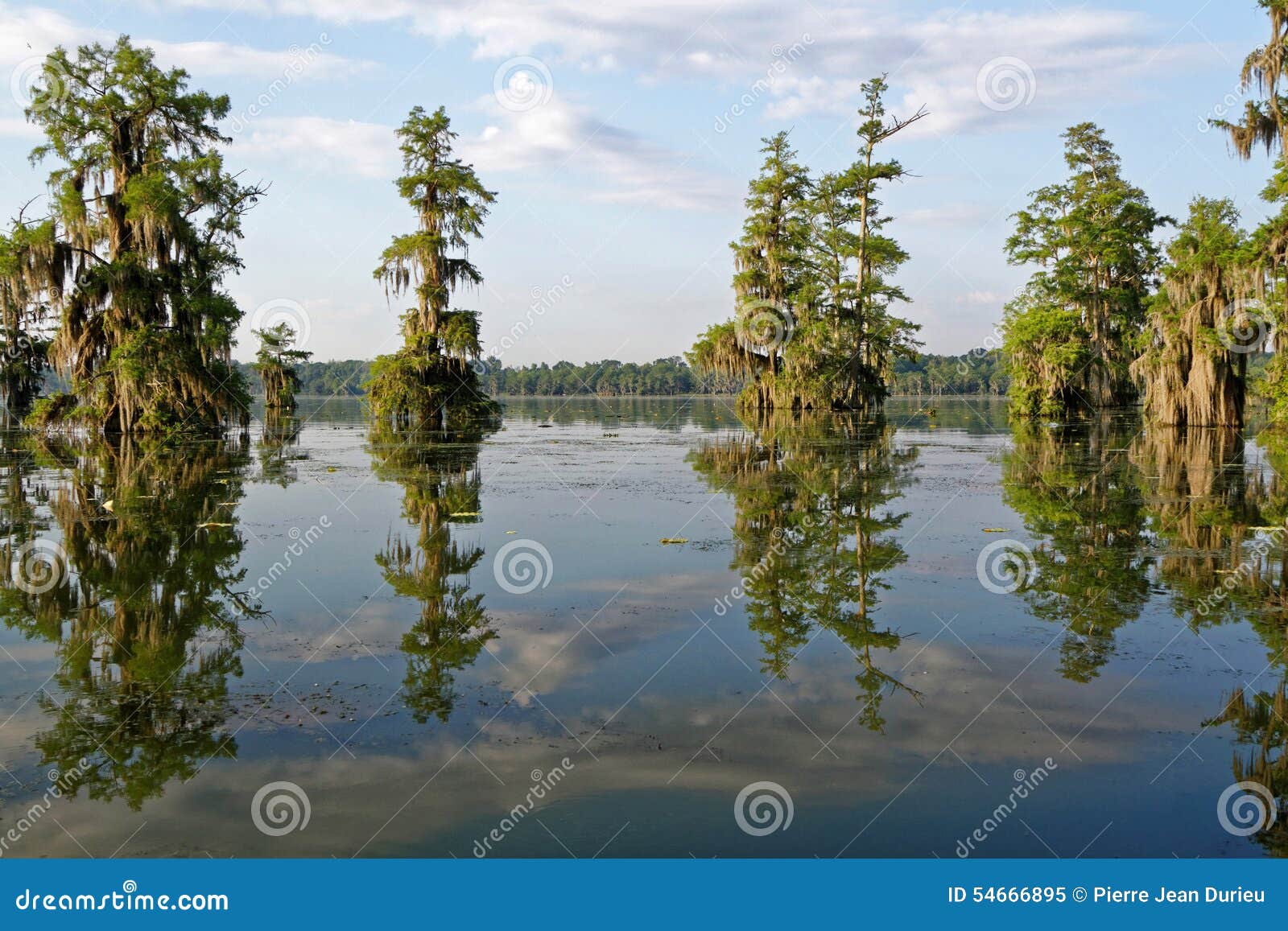 skies over the bayou