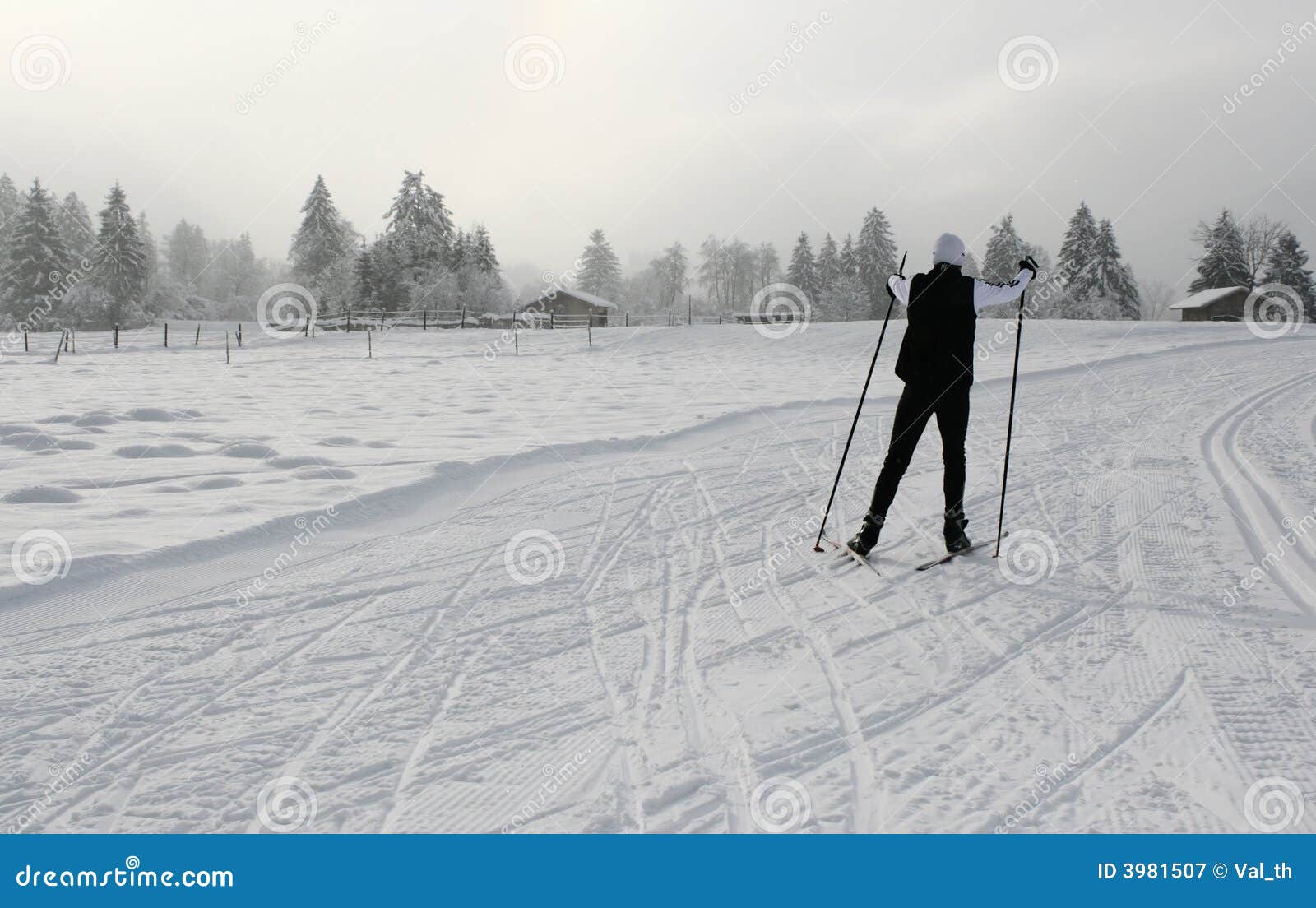 Skiing 5. Nordic-skating woman. Near Fuessen in Alps, Germany.